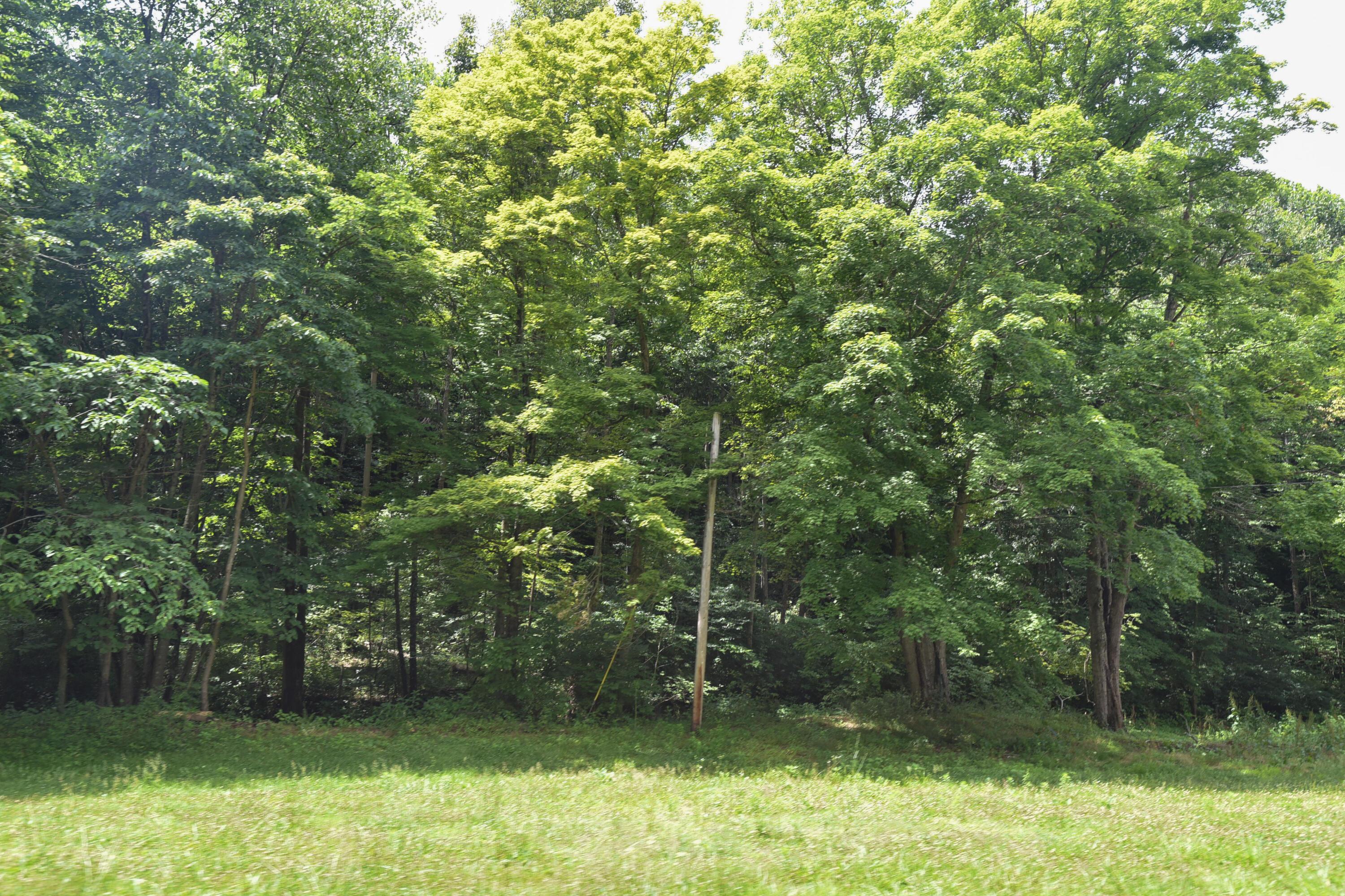 23769 State Route 327 Property Photo 28