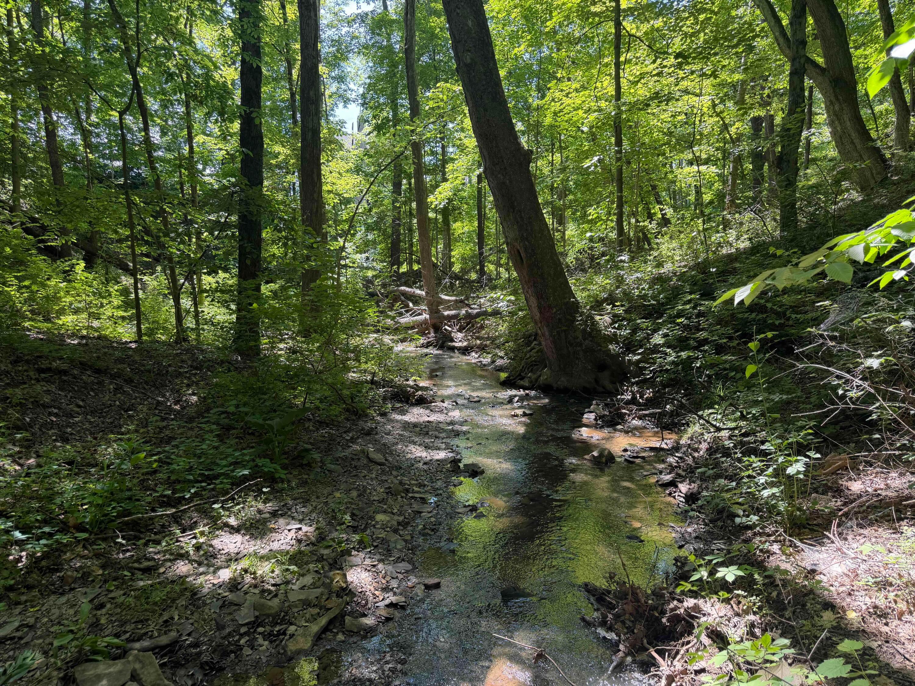 1015 Lale Point Property Photo 63
