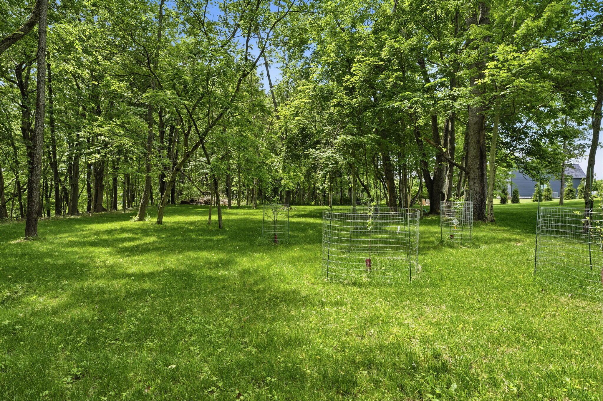 1015 Lale Point Property Photo 72