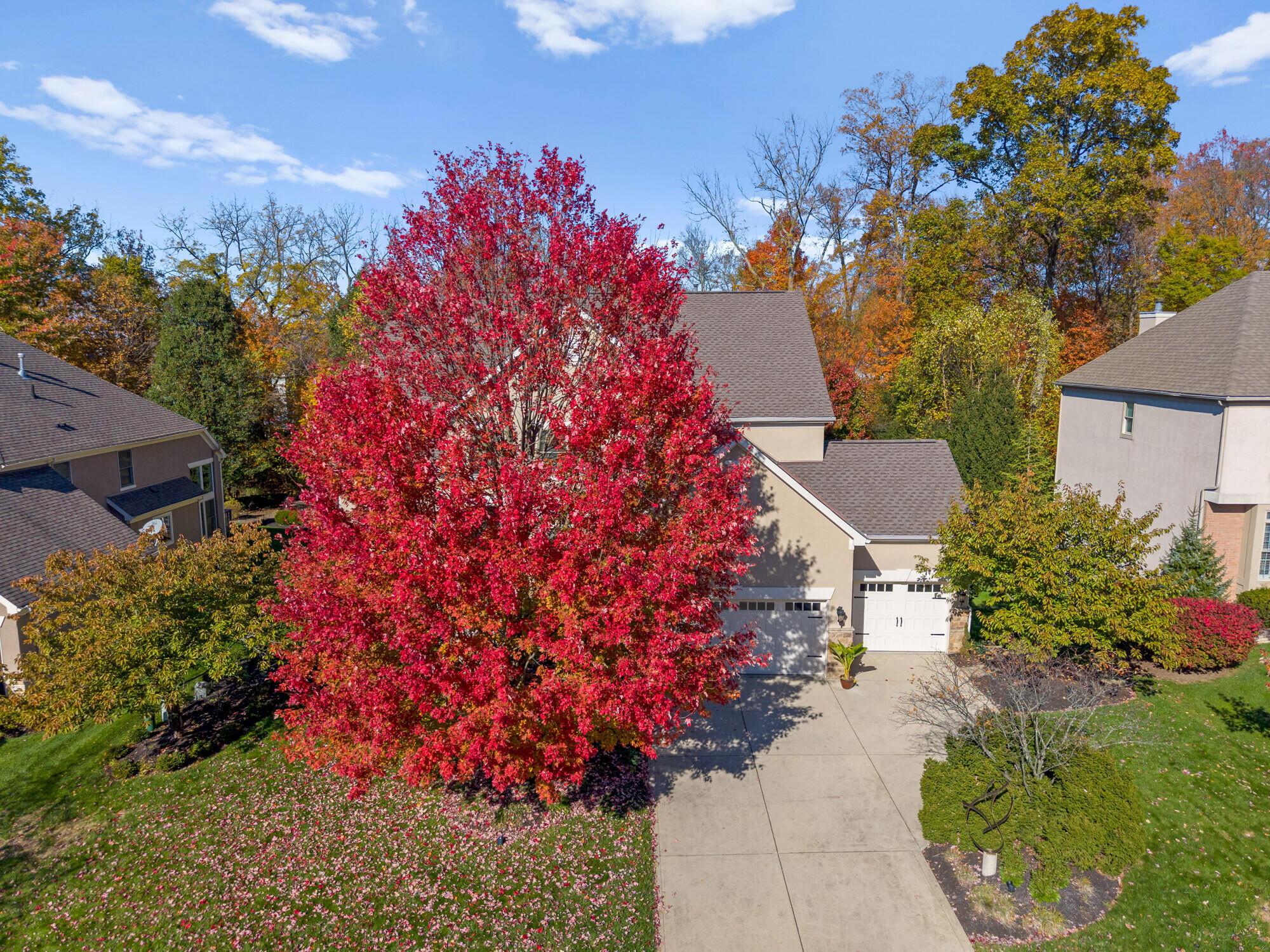 5107 Augusta Drive Property Photo 118
