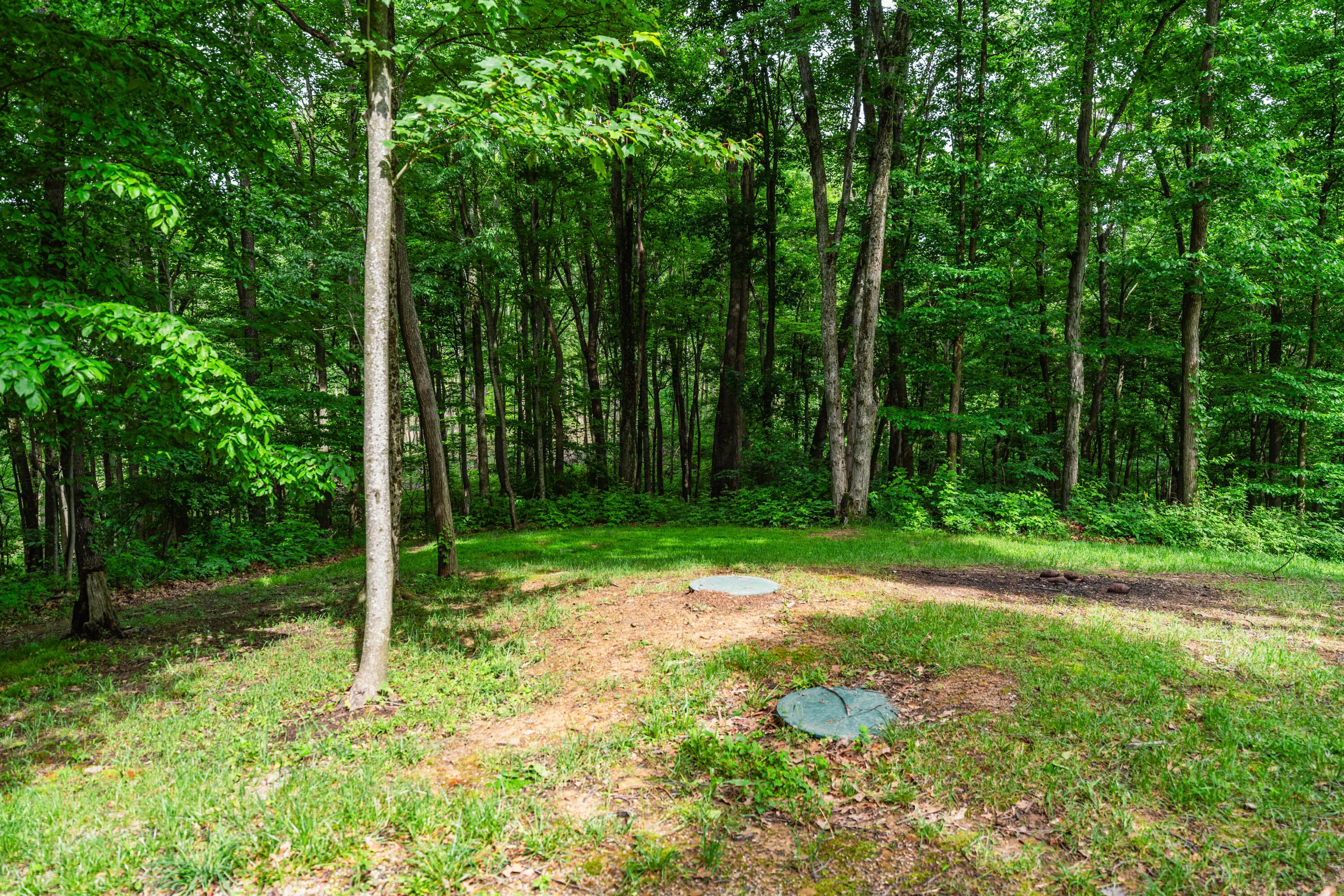 5674 Pleasant Valley Road Property Photo 41