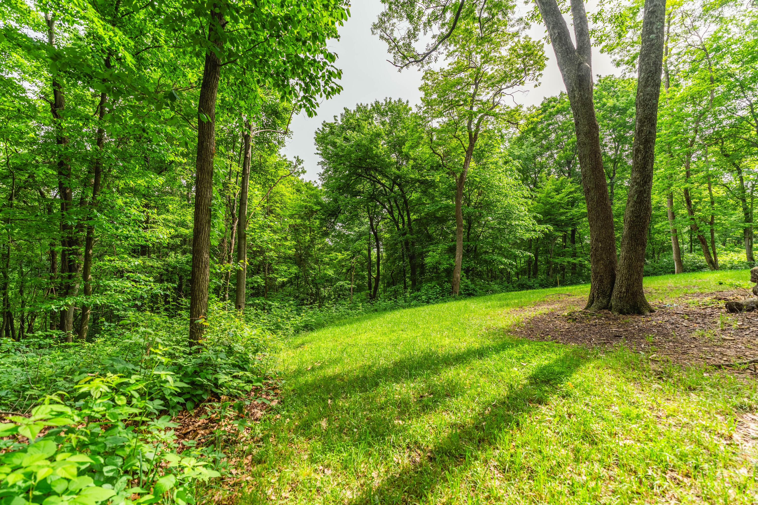 5674 Pleasant Valley Road Property Photo 43