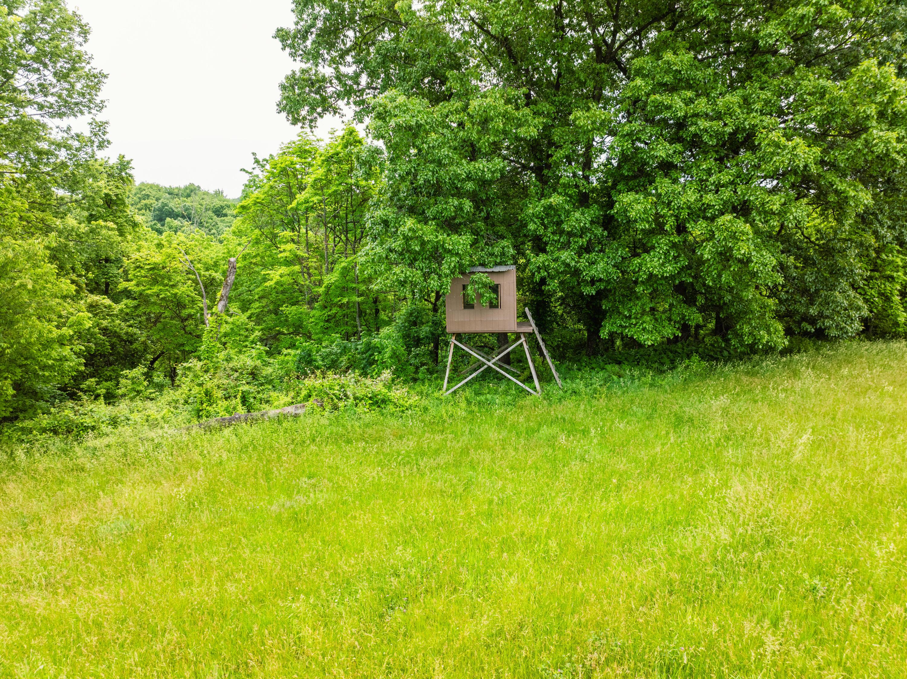 5674 Pleasant Valley Road Property Photo 44