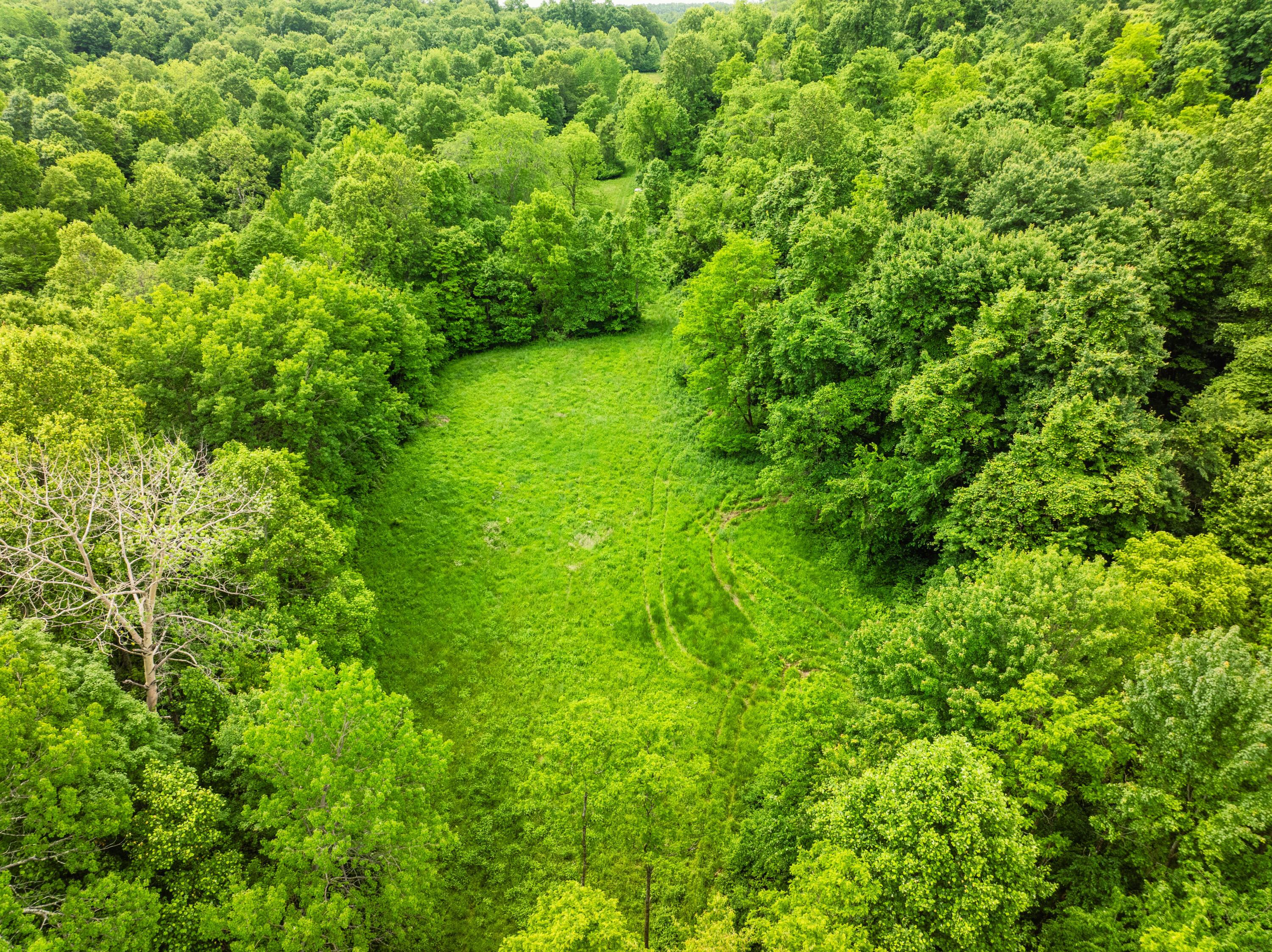 5674 Pleasant Valley Road Property Photo 46