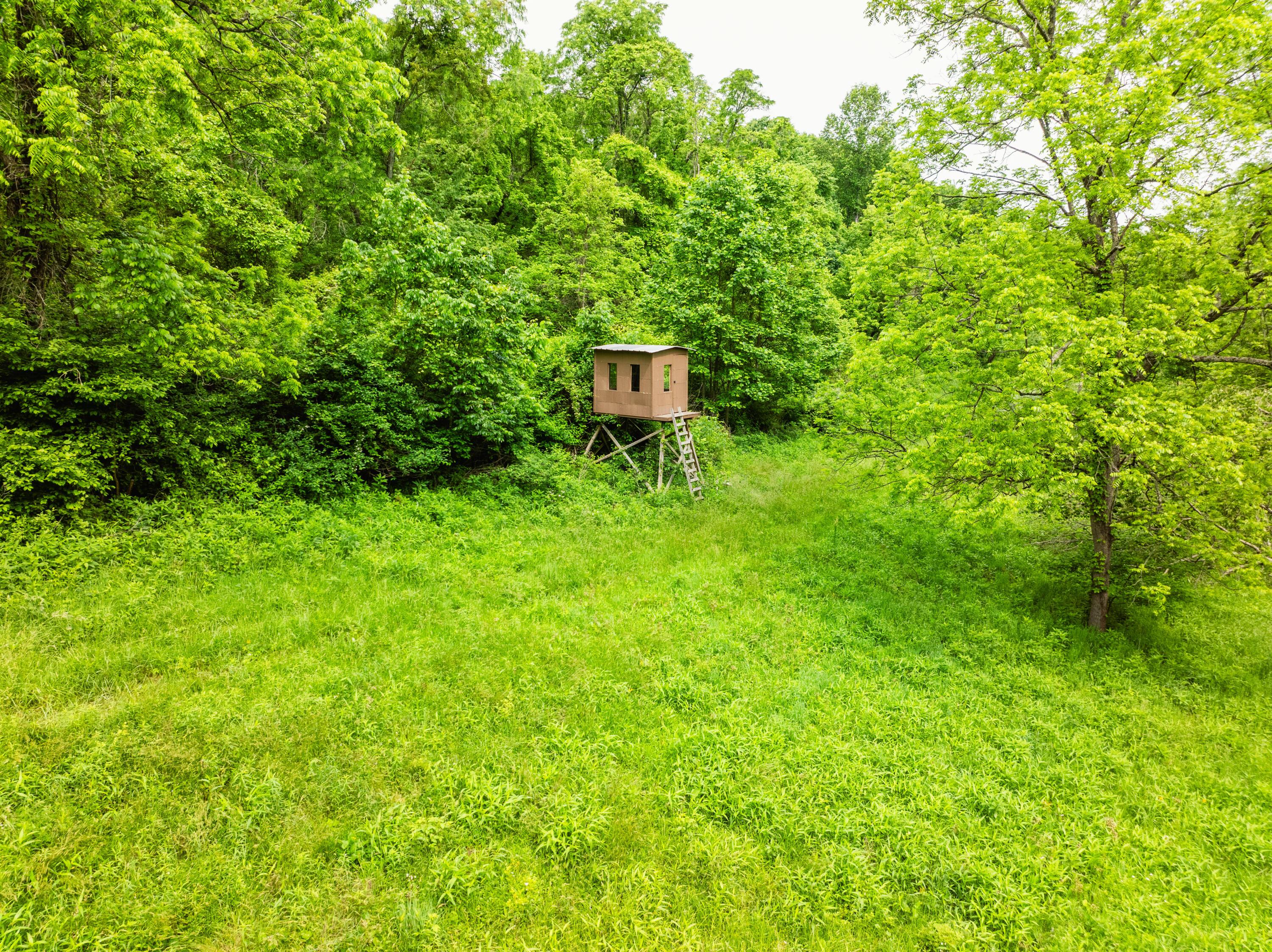 5674 Pleasant Valley Road Property Photo 47