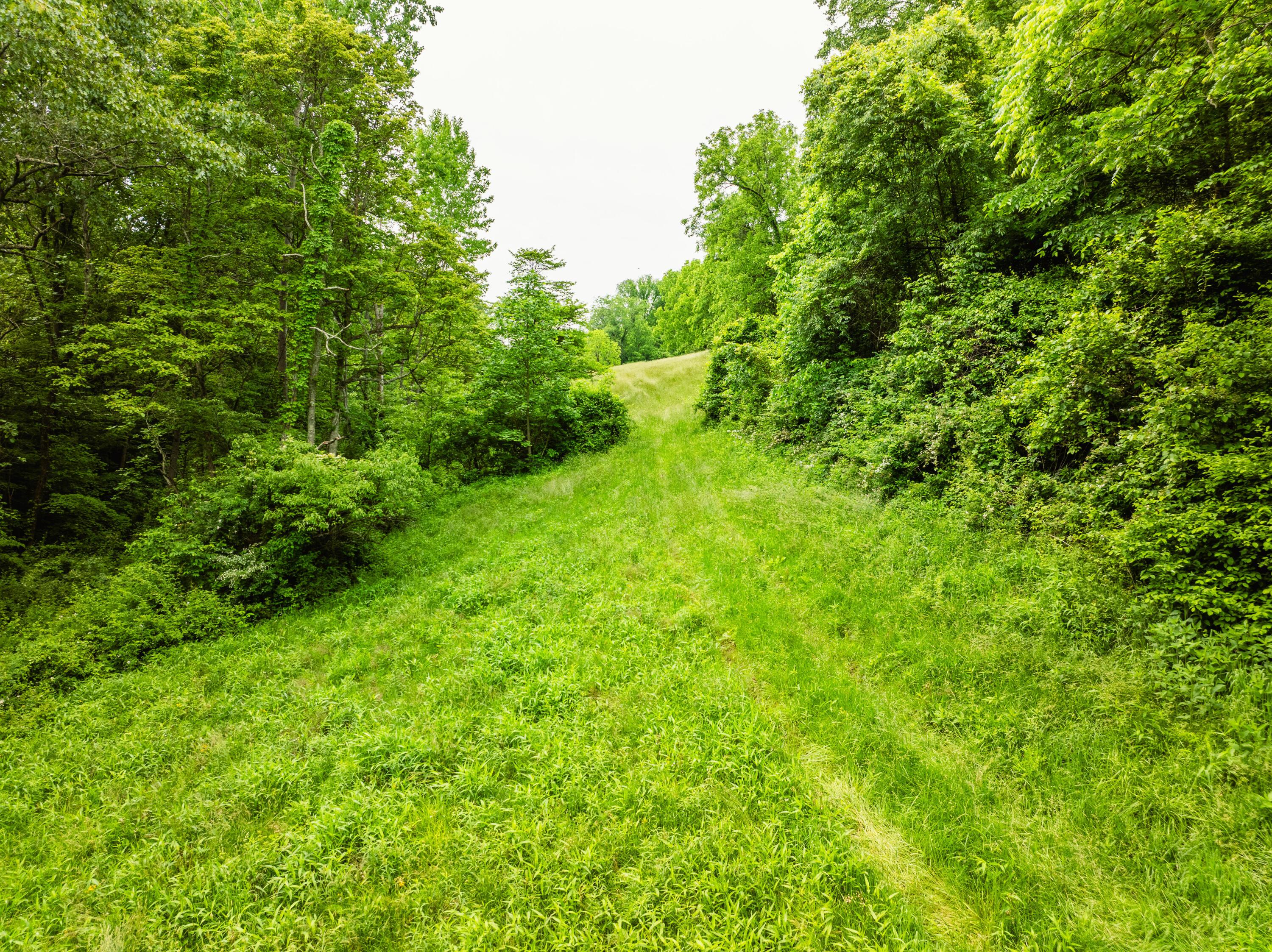 5674 Pleasant Valley Road Property Photo 48