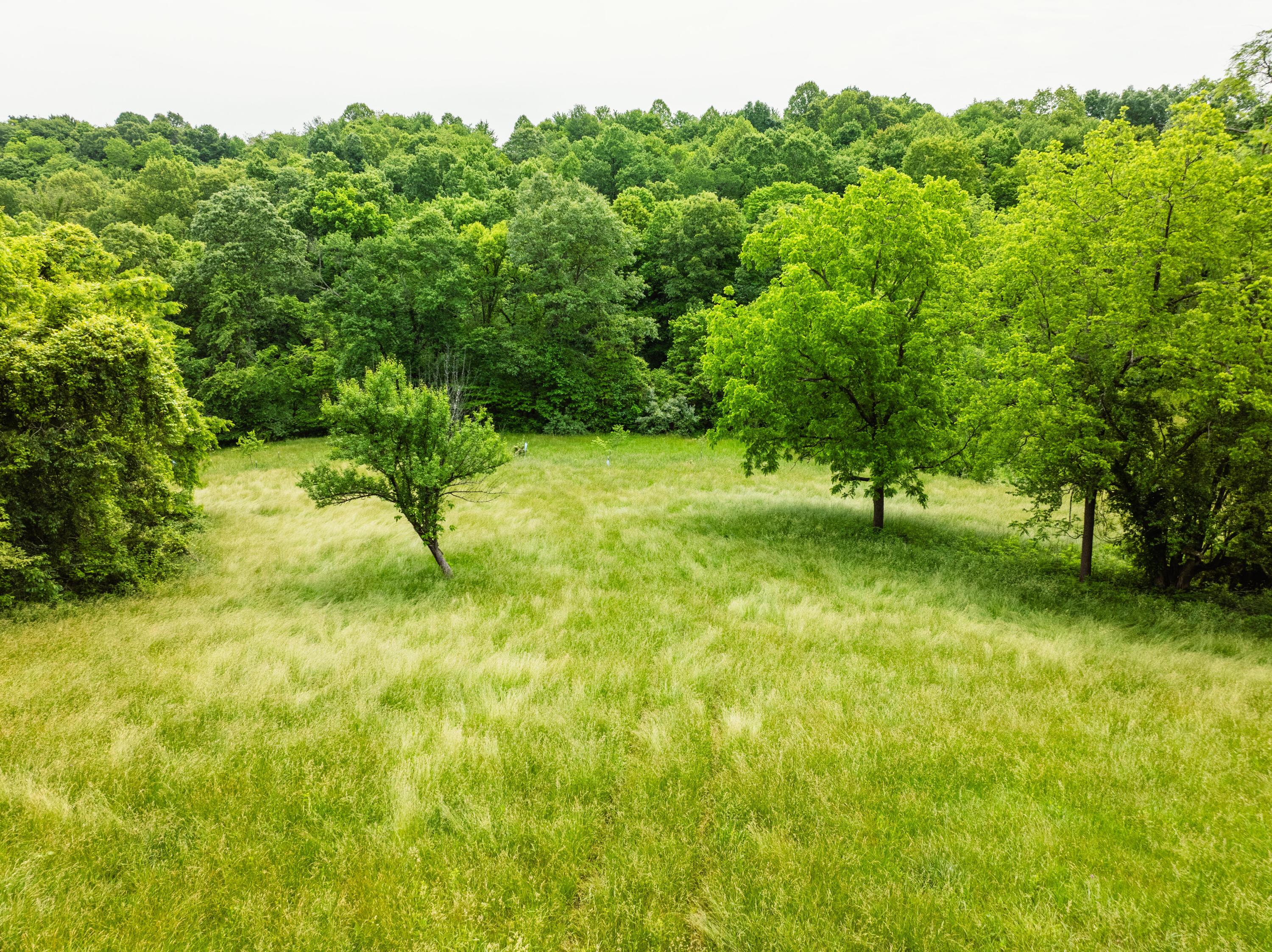 5674 Pleasant Valley Road Property Photo 49