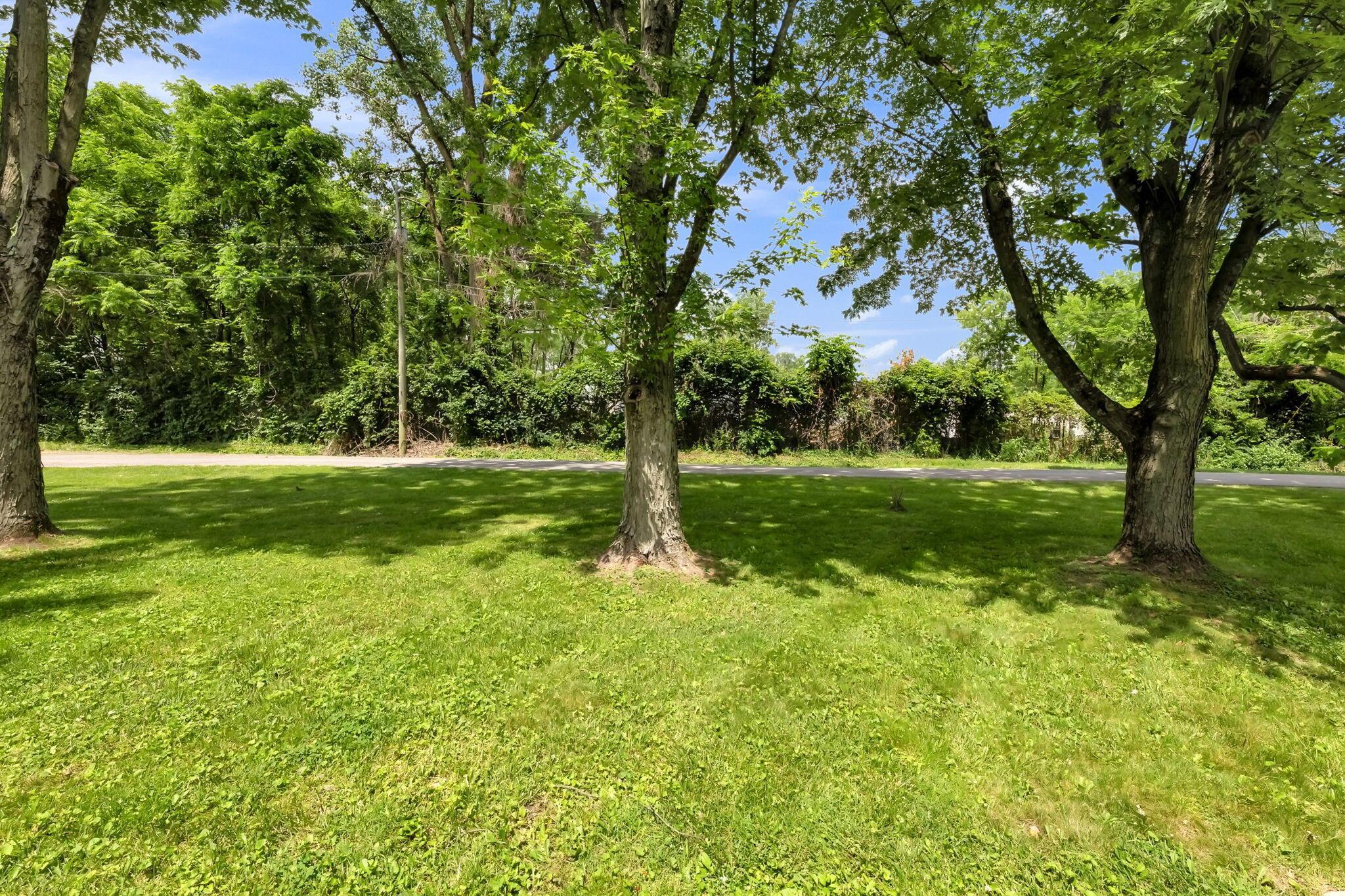 76 Harrison Street Sw Property Photo 5