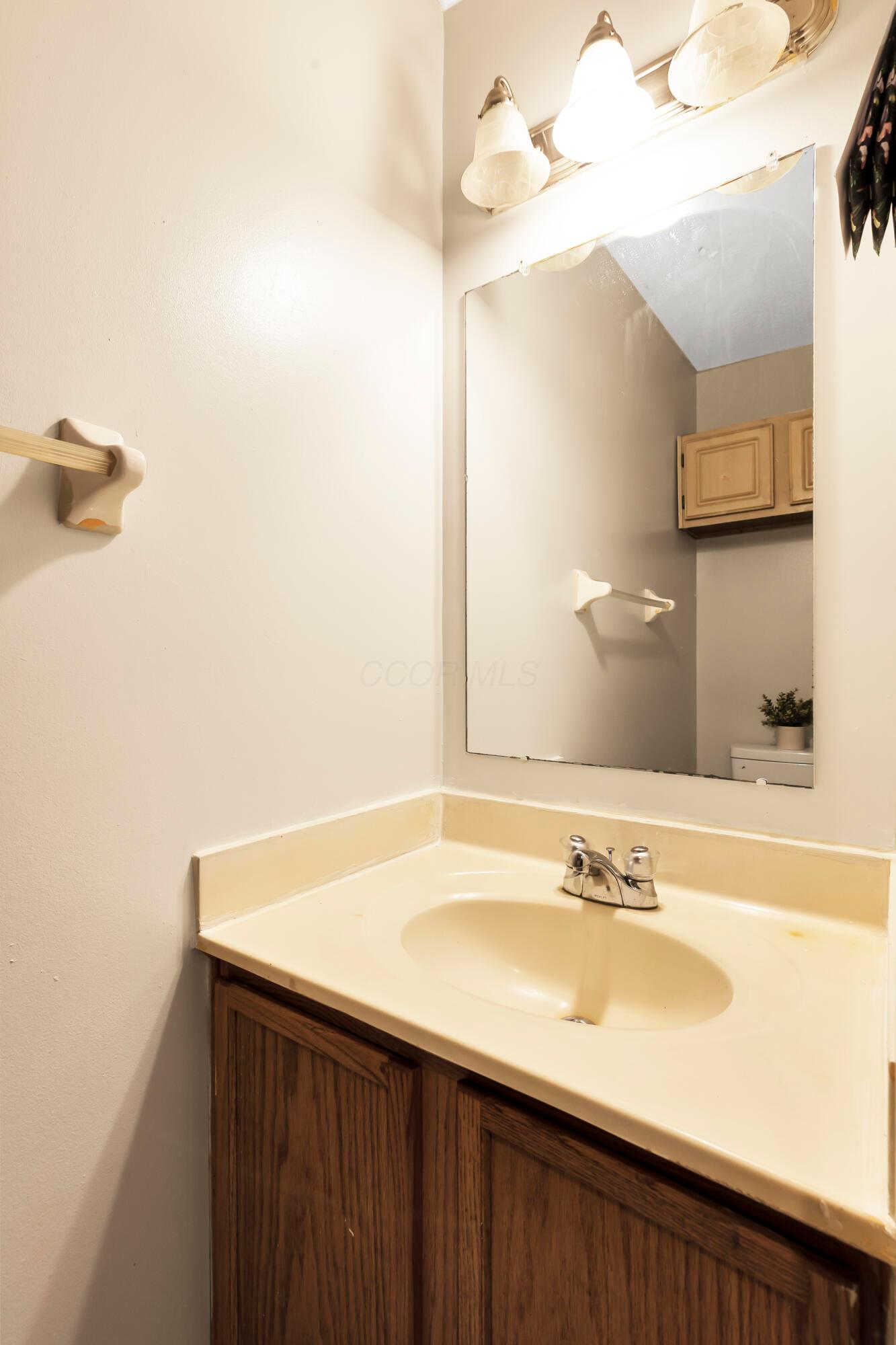 7719 Solomen Run Drive Property Photo 19