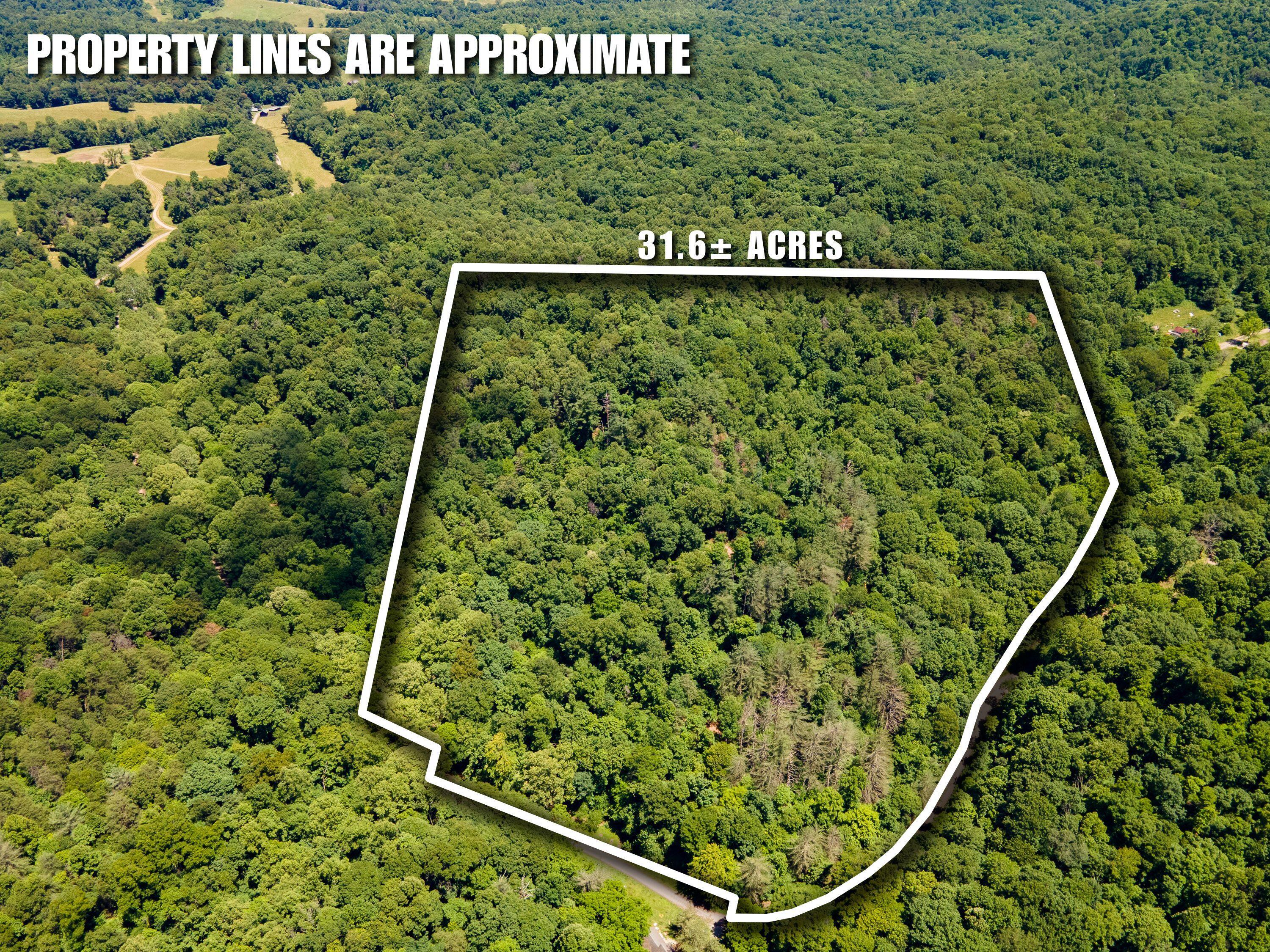 0 Long Hollow Road Property Photo 1