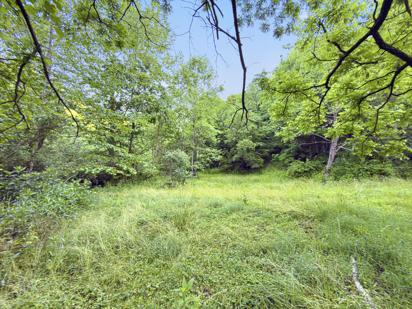 0 State Route 140 Property Photo 4