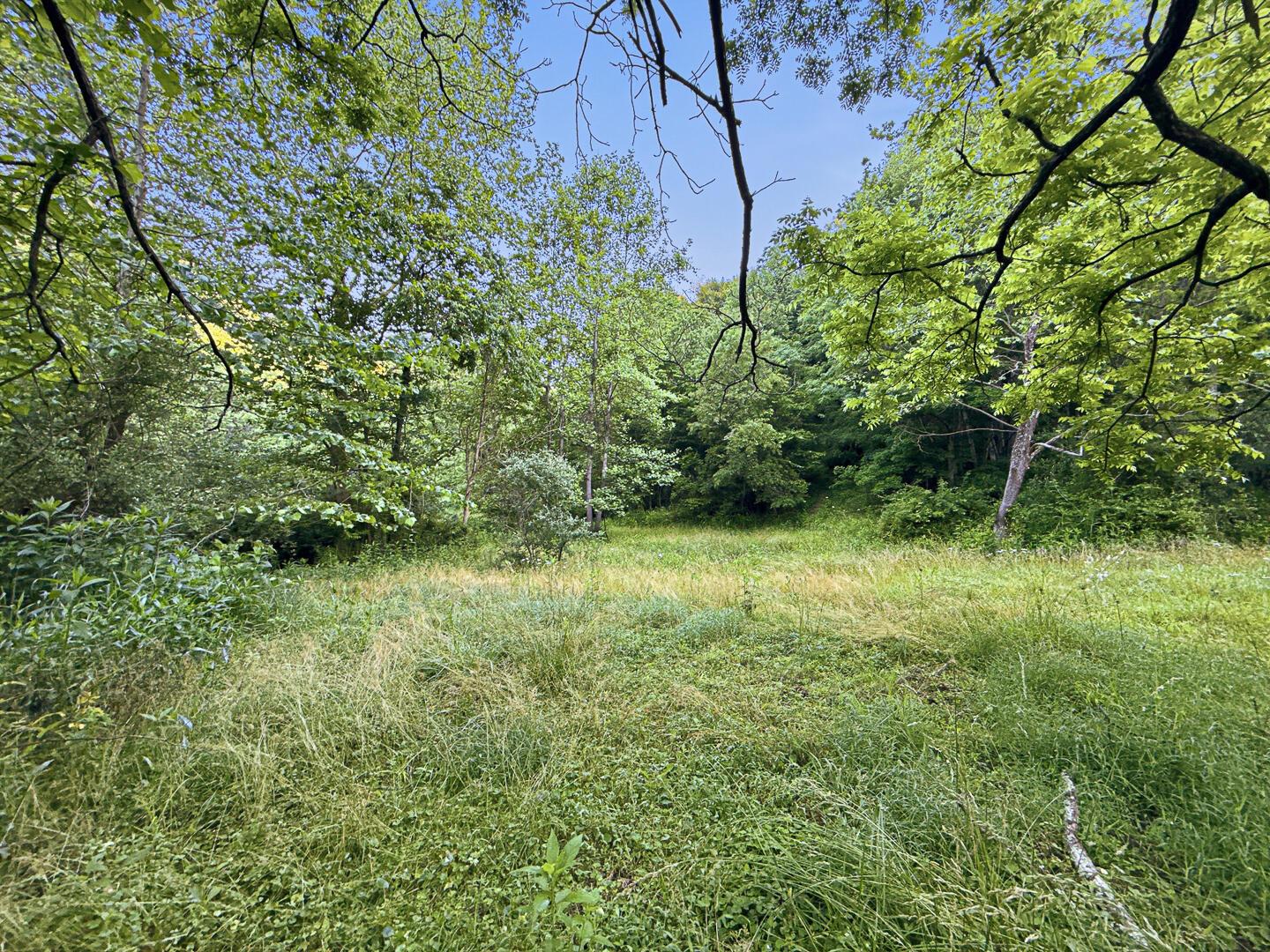 0 State Route 140 Property Photo 6