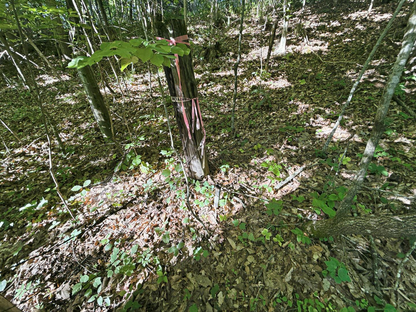 0 State Route 140 Property Photo 9