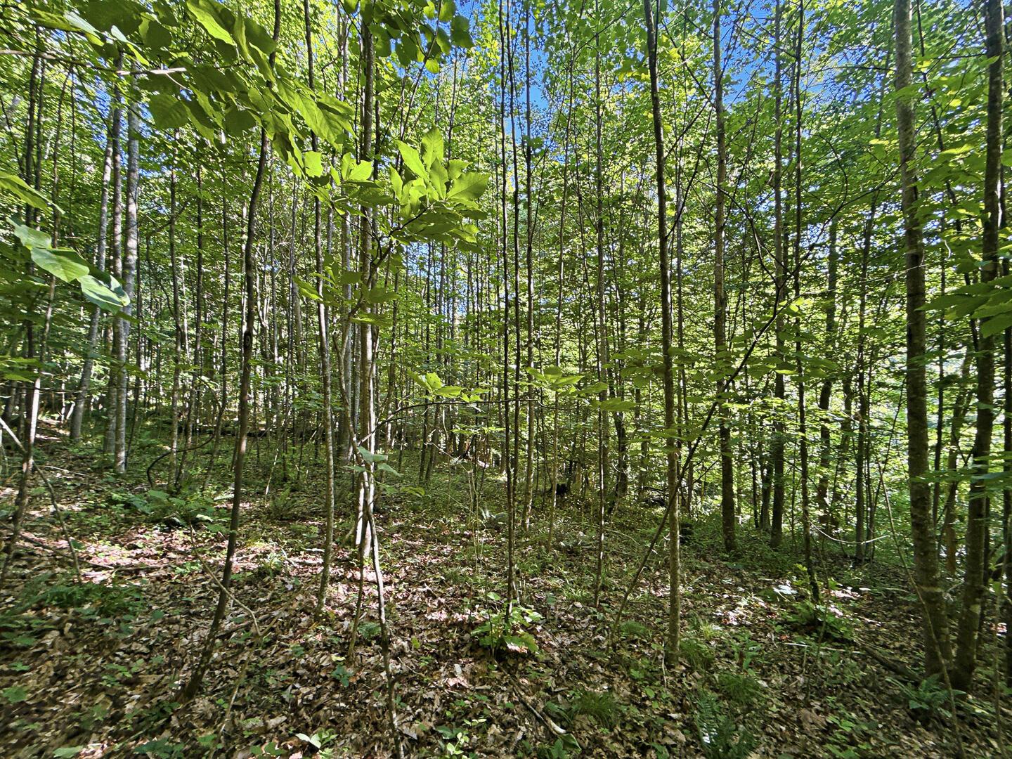 0 State Route 140 Property Photo 10