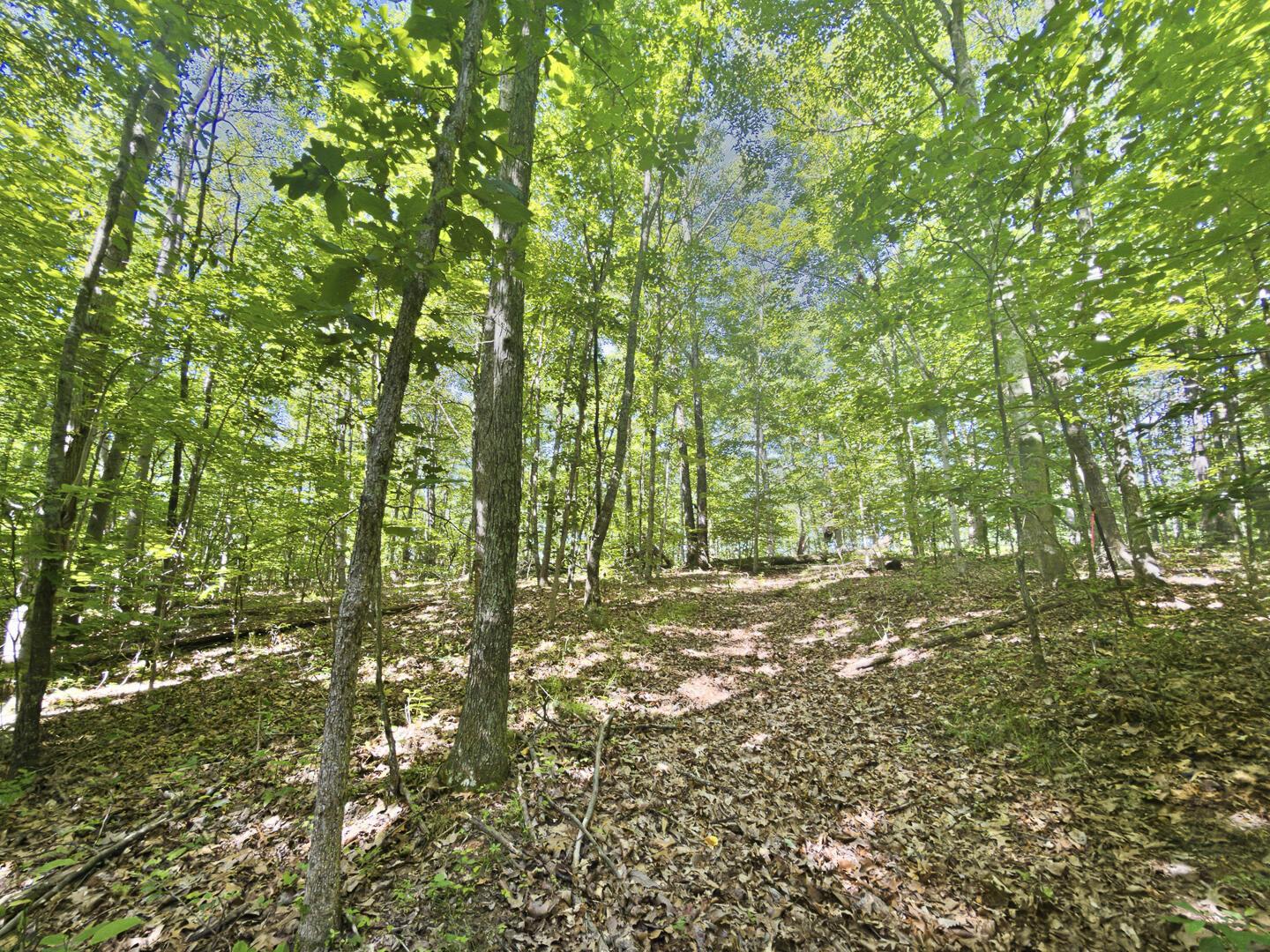 0 State Route 140 Property Photo 12