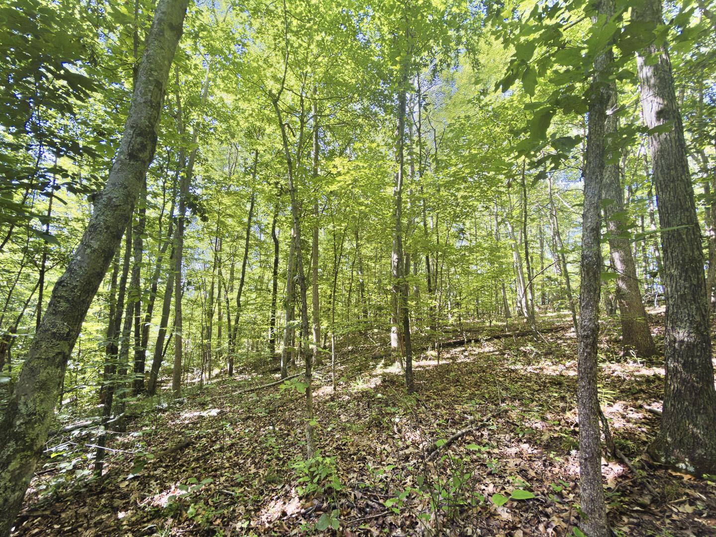0 State Route 140 Property Photo 13