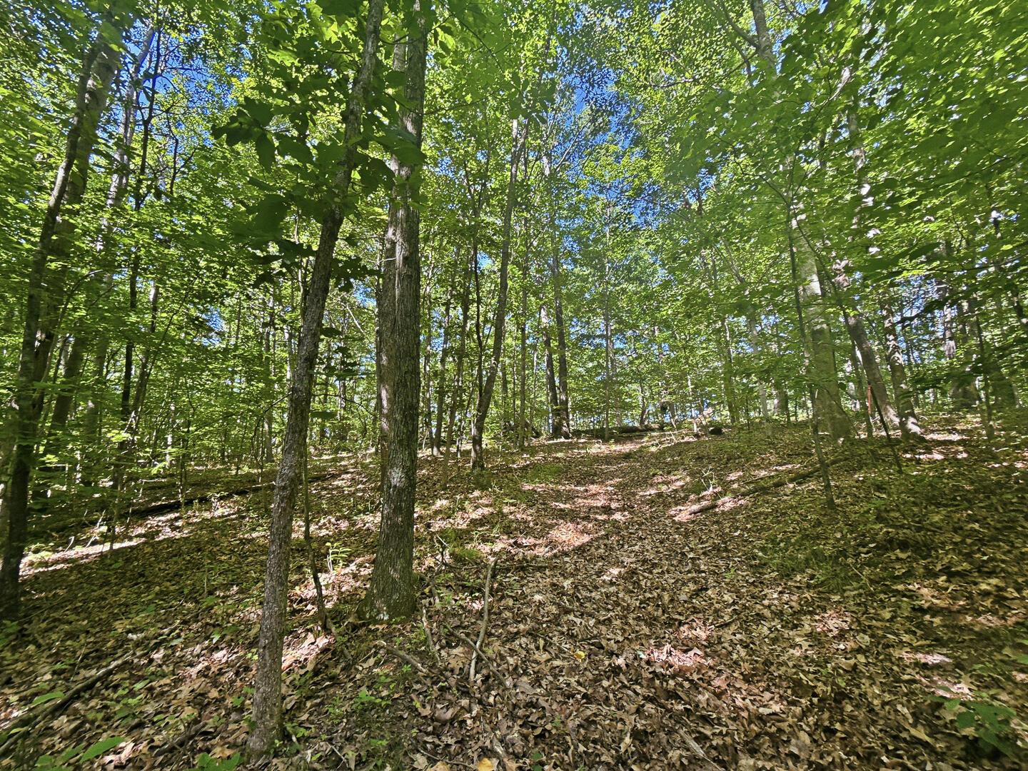 0 State Route 140 Property Photo 14
