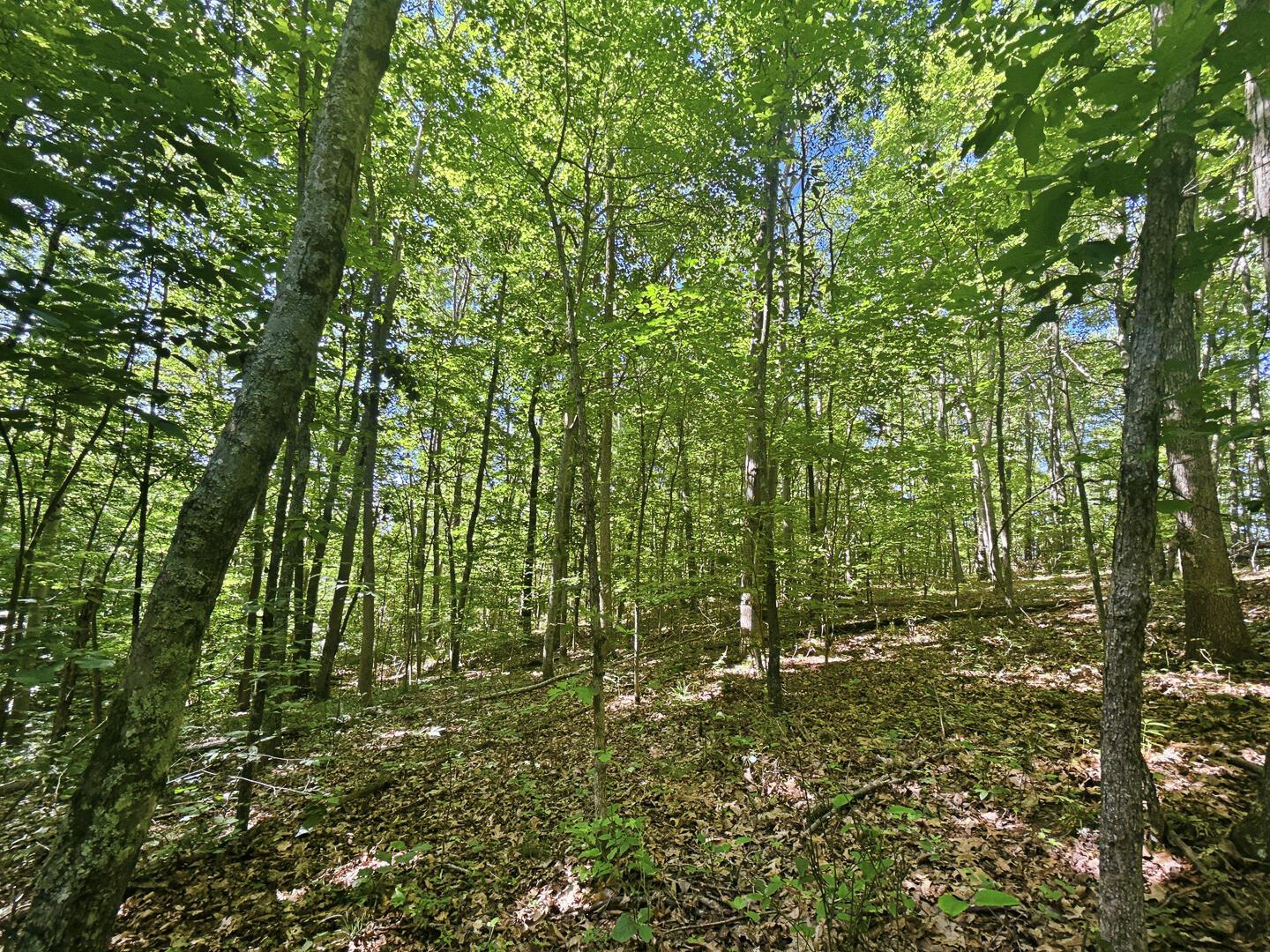 0 State Route 140 Property Photo 15