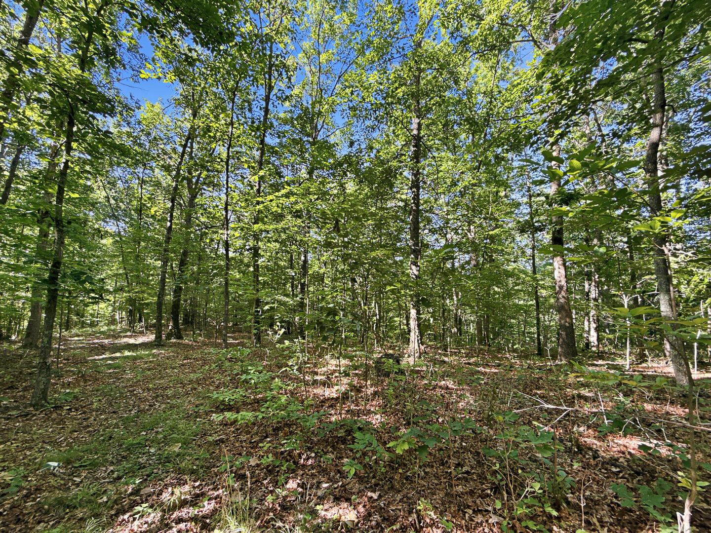 0 State Route 140 Property Photo 16