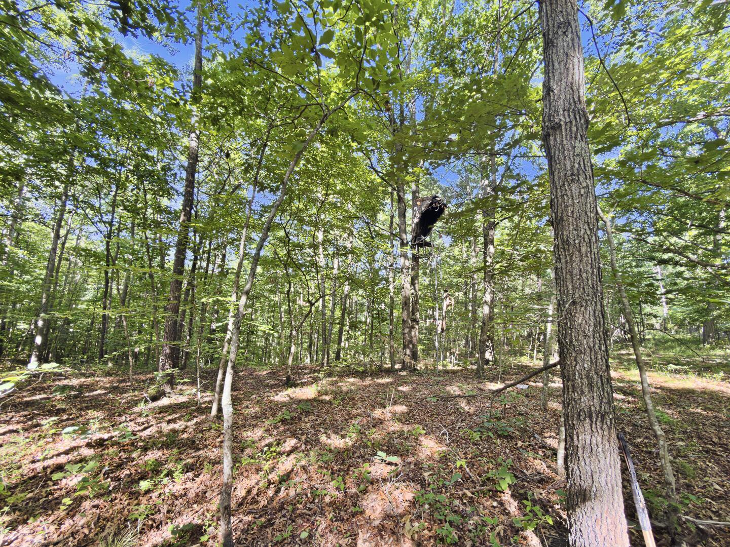 0 State Route 140 Property Photo 19