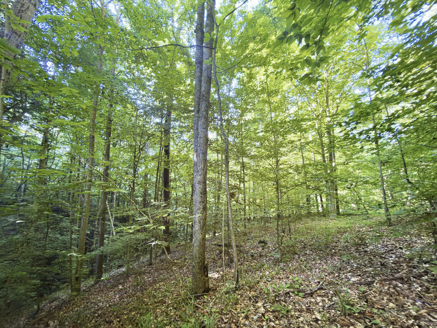 0 State Route 140 Property Photo 20