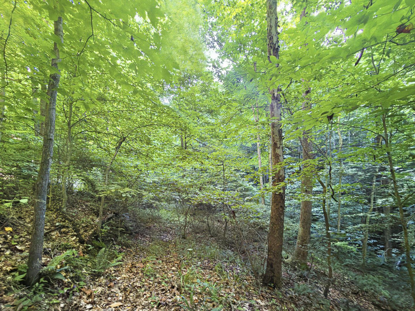 0 State Route 140 Property Photo 21