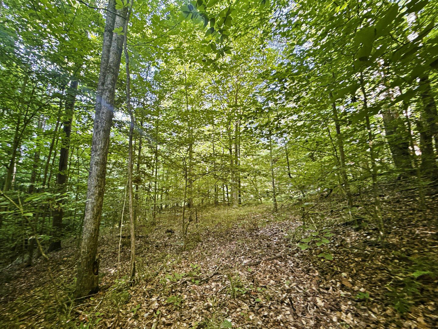 0 State Route 140 Property Photo 22