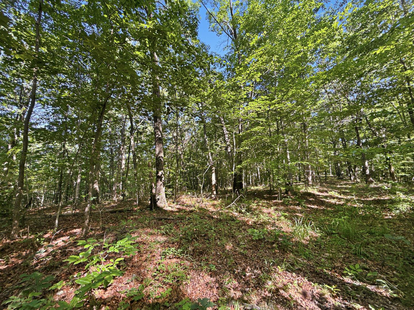 0 State Route 140 Property Photo 23
