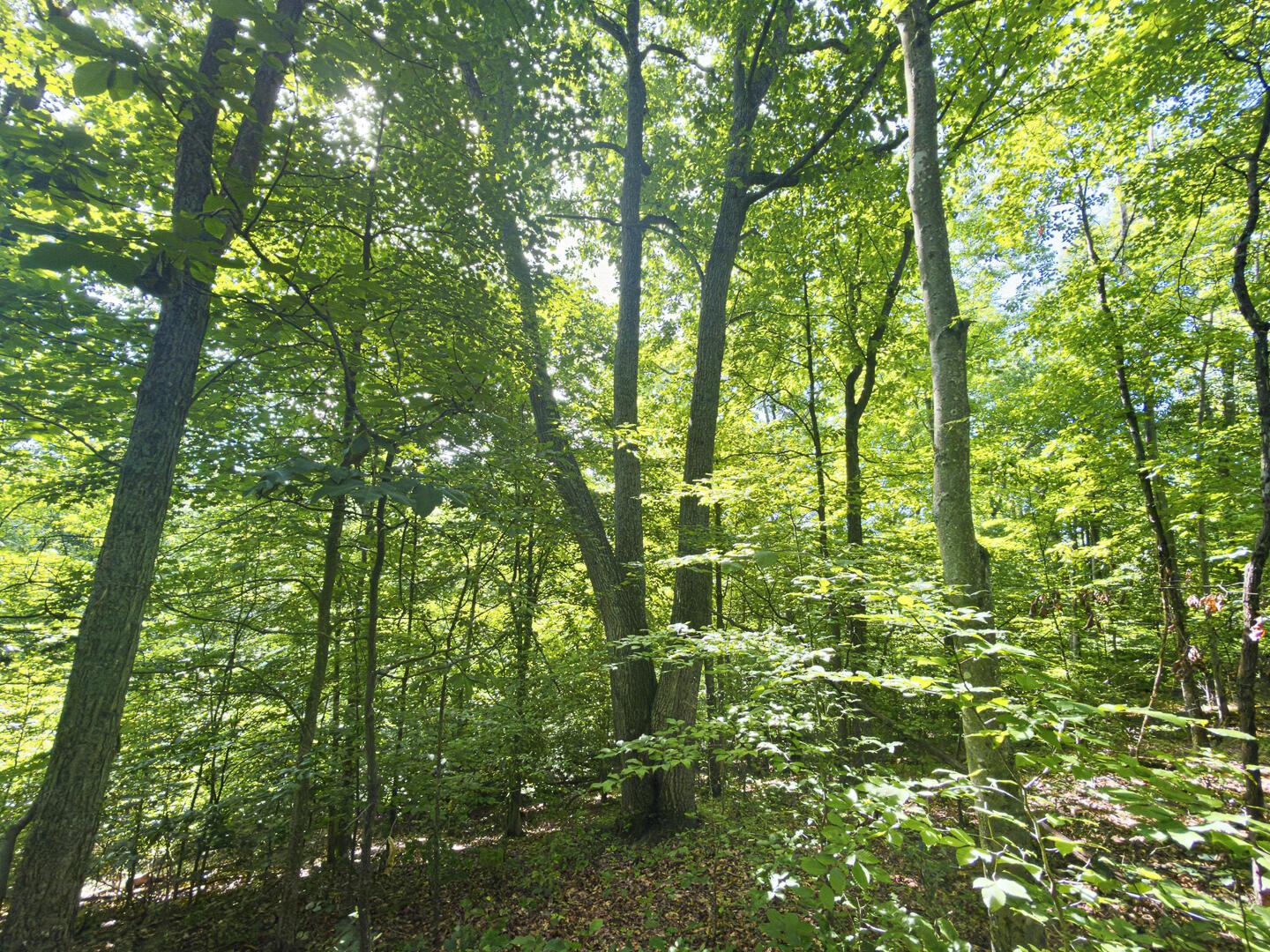 0 State Route 140 Property Photo 25