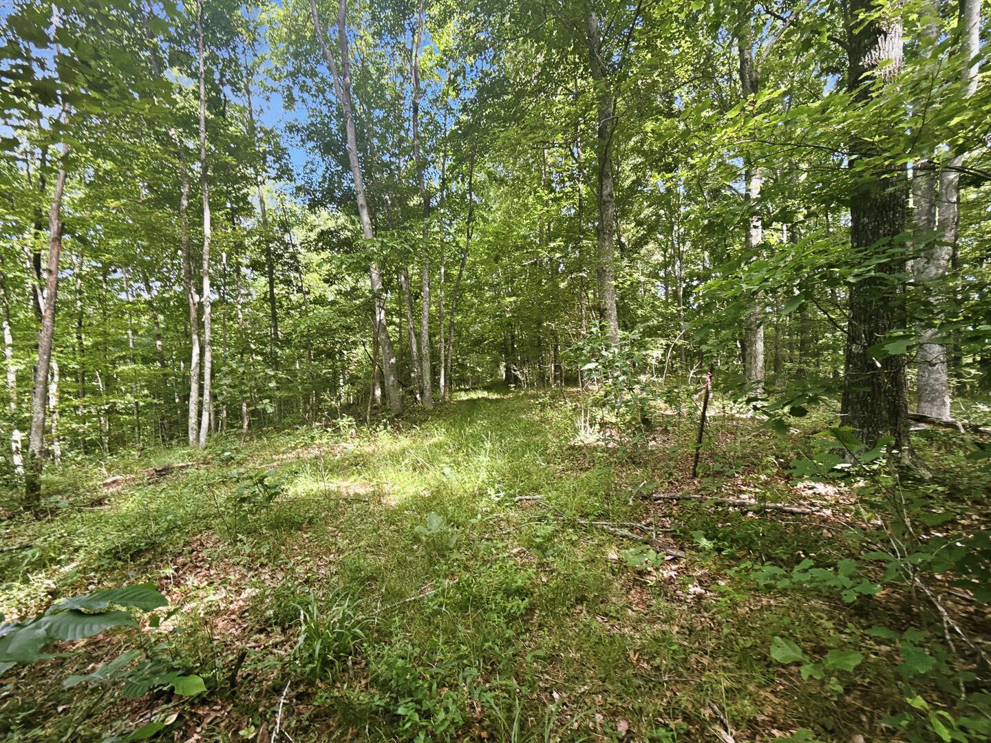 0 State Route 140 Property Photo 26
