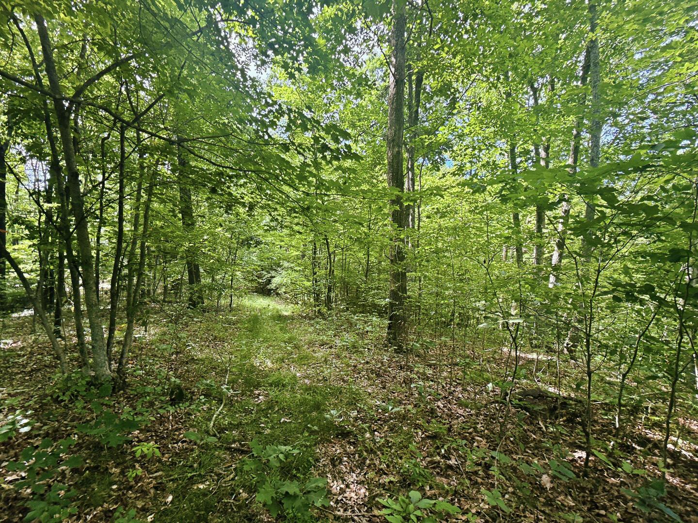 0 State Route 140 Property Photo 27