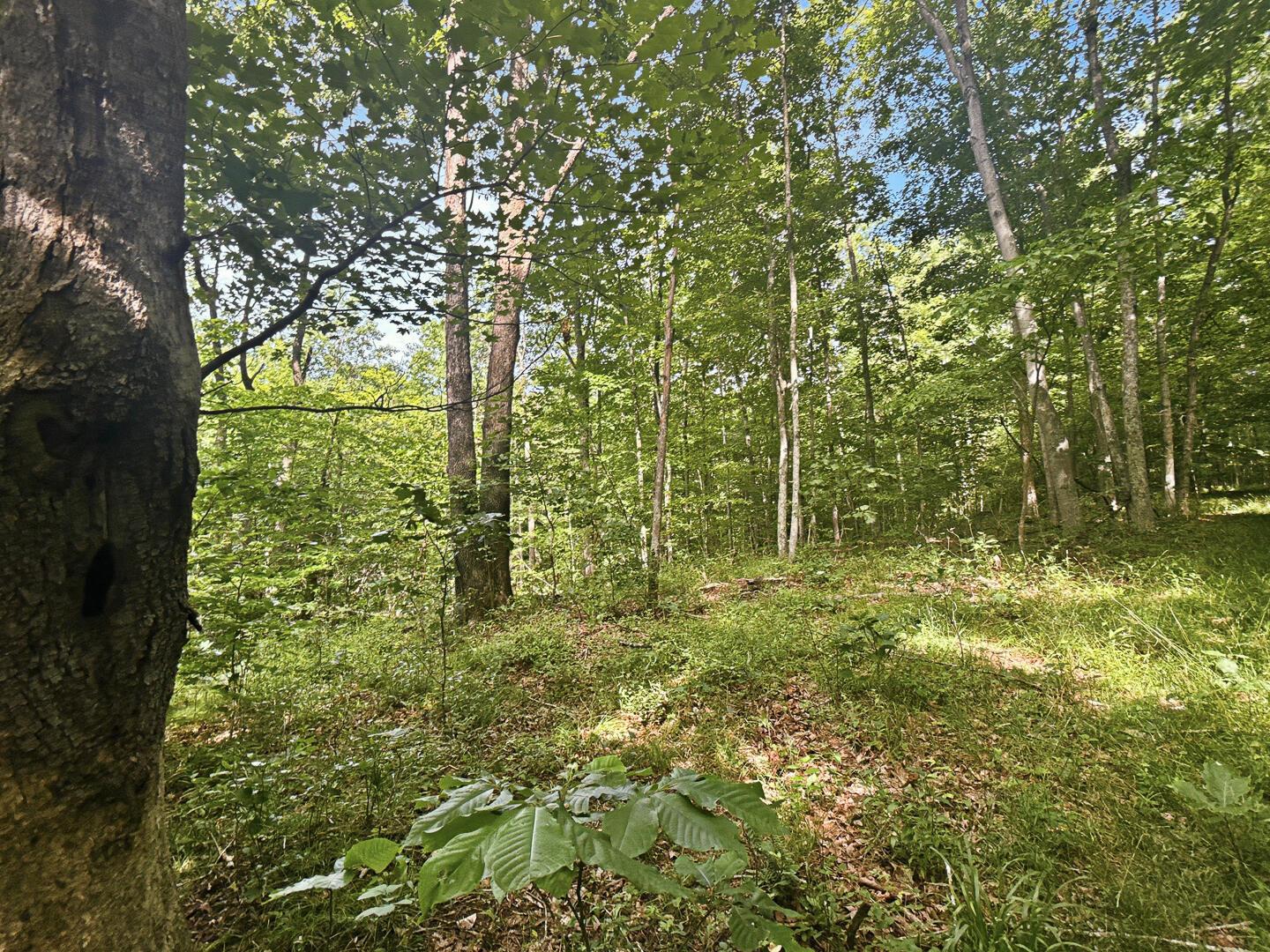 0 State Route 140 Property Photo 28
