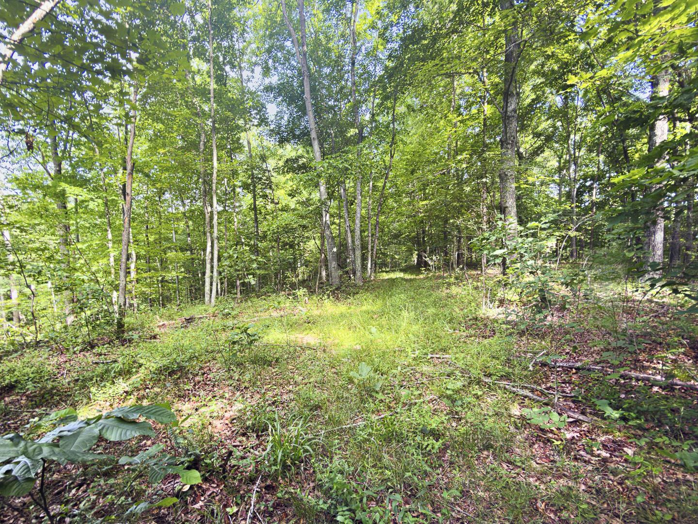0 State Route 140 Property Photo 29