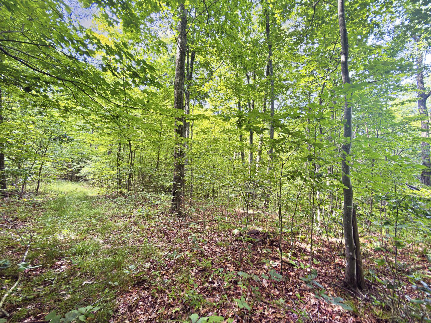 0 State Route 140 Property Photo 30