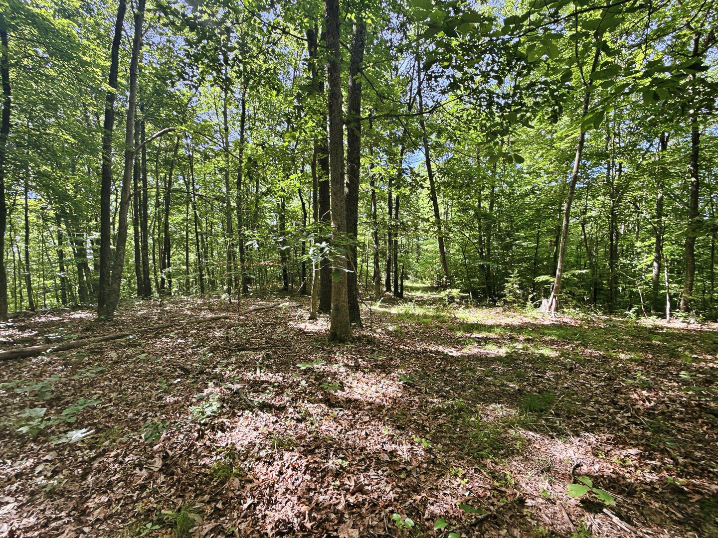 0 State Route 140 Property Photo 31
