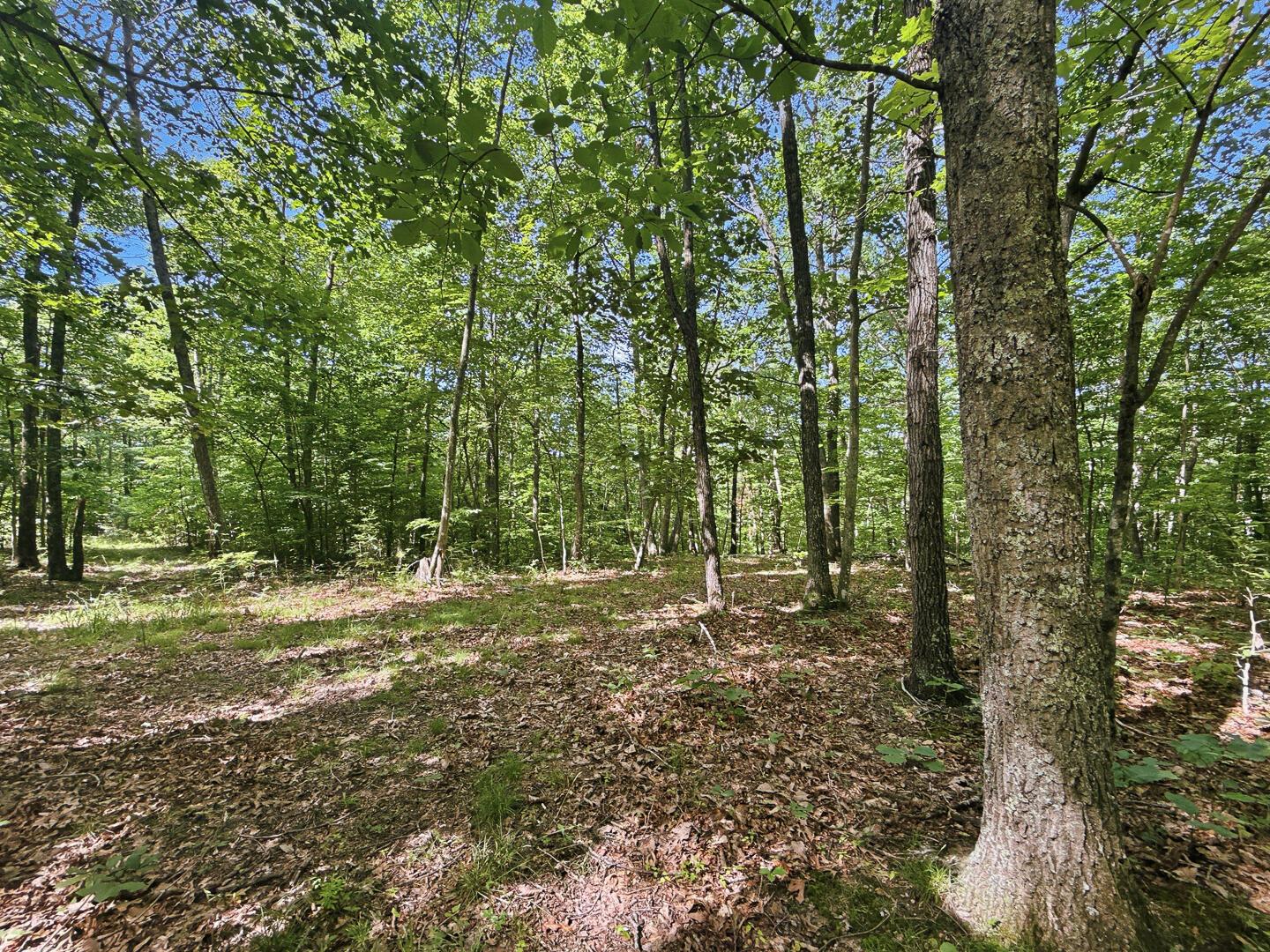 0 State Route 140 Property Photo 32