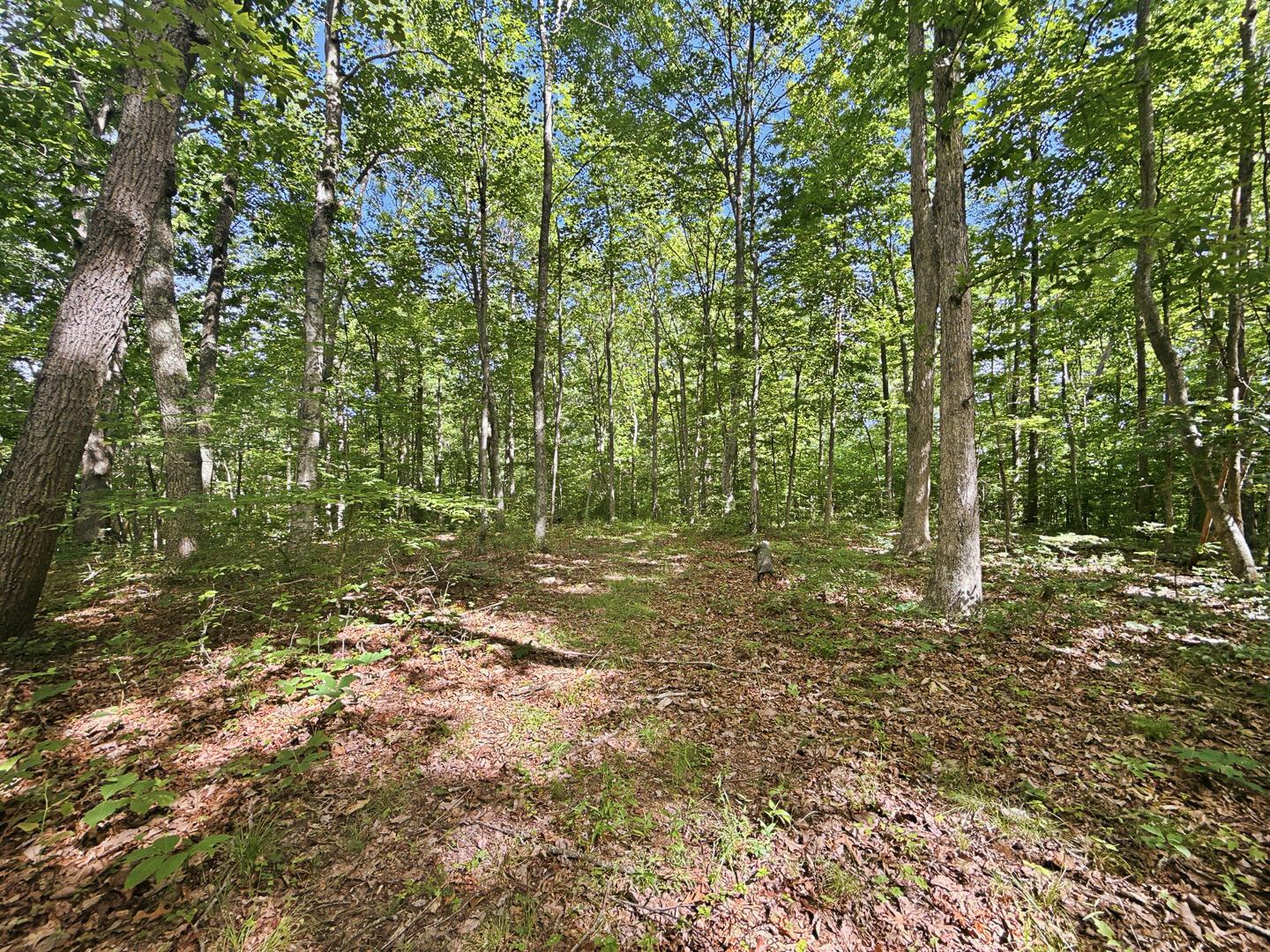 0 State Route 140 Property Photo 33