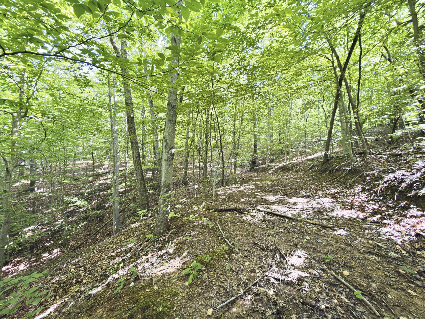 0 State Route 140 Property Photo 34