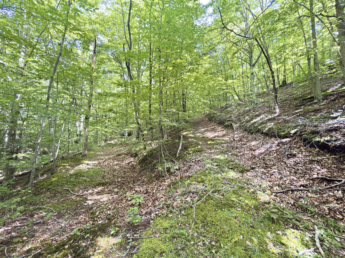 0 State Route 140 Property Photo 36