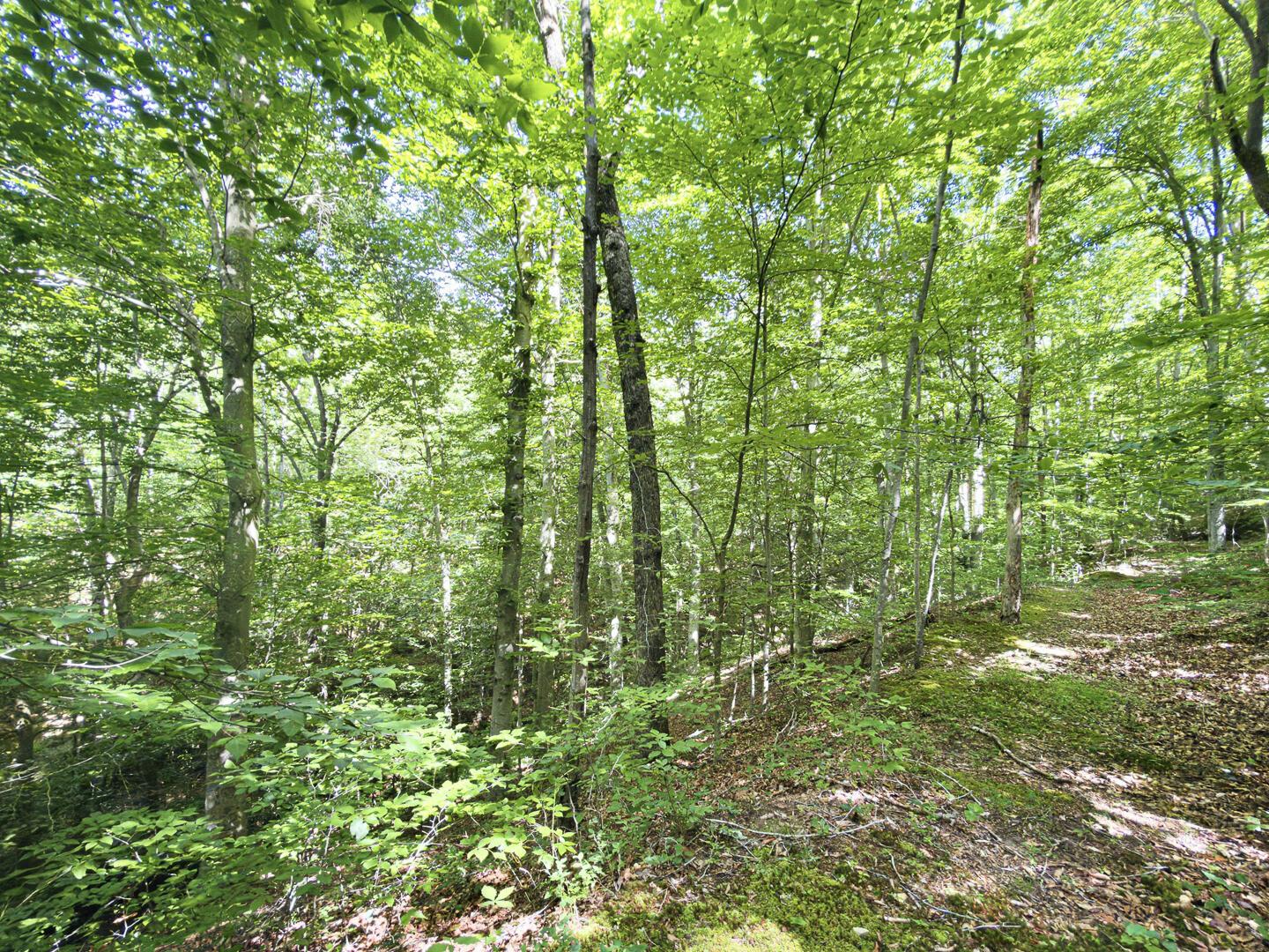 0 State Route 140 Property Photo 37