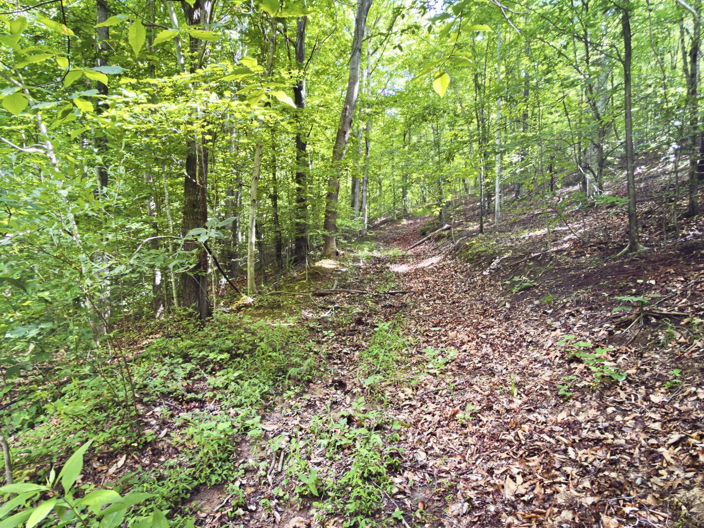 0 State Route 140 Property Photo 38