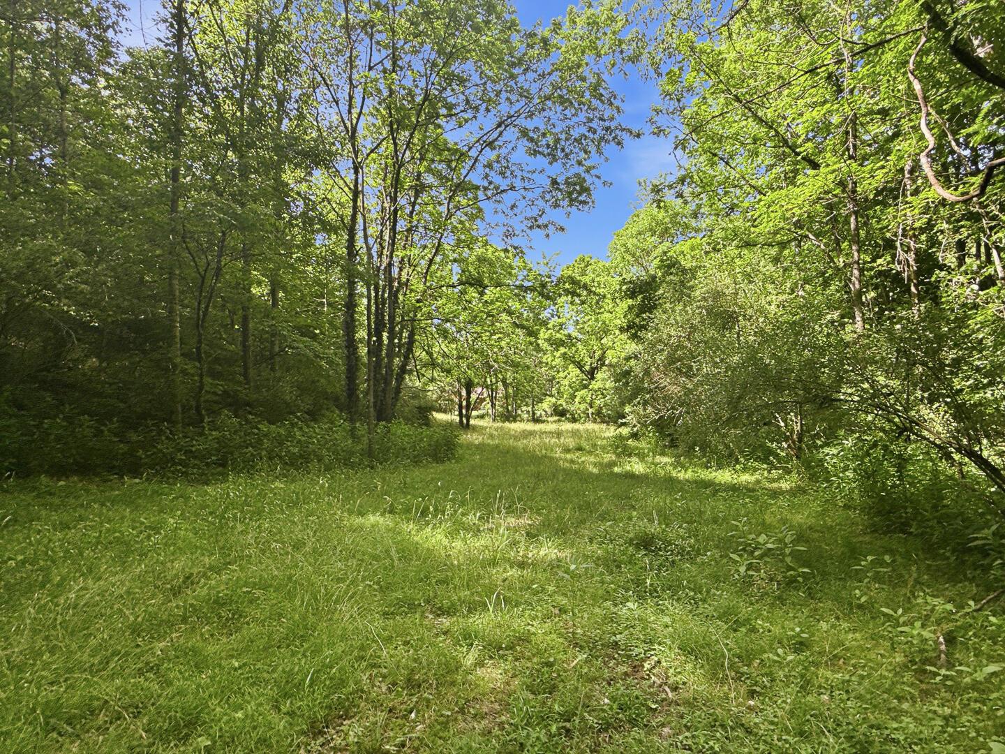 0 State Route 140 Property Photo 39