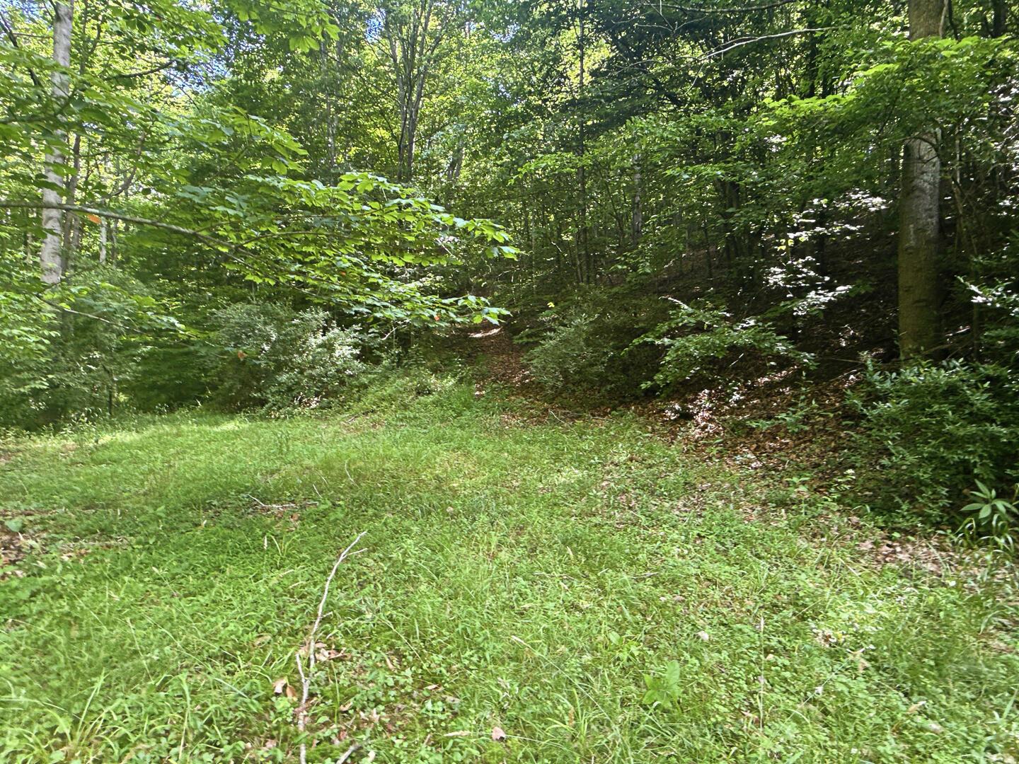 0 State Route 140 Property Photo 41