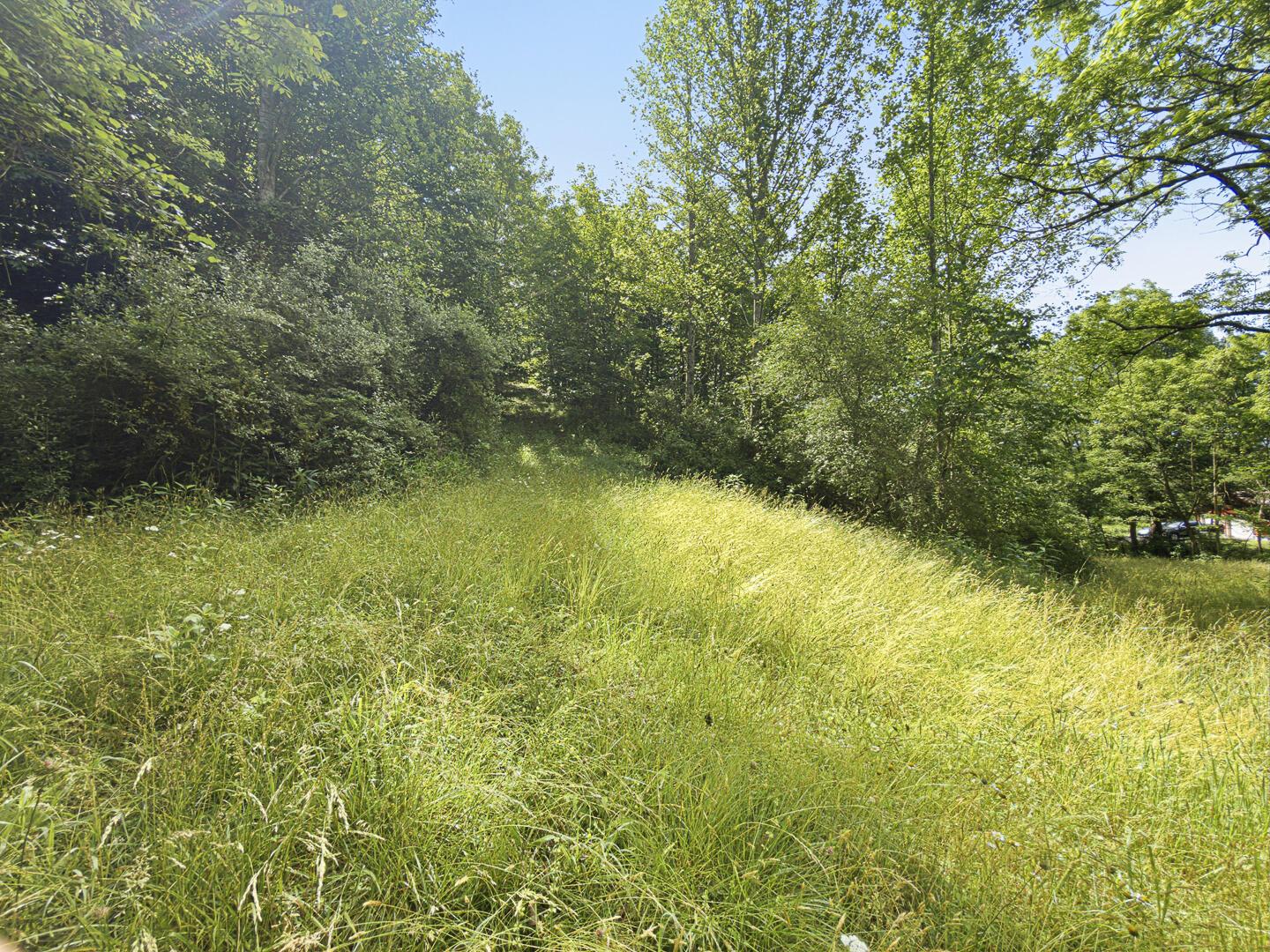 0 State Route 140 Property Photo 42