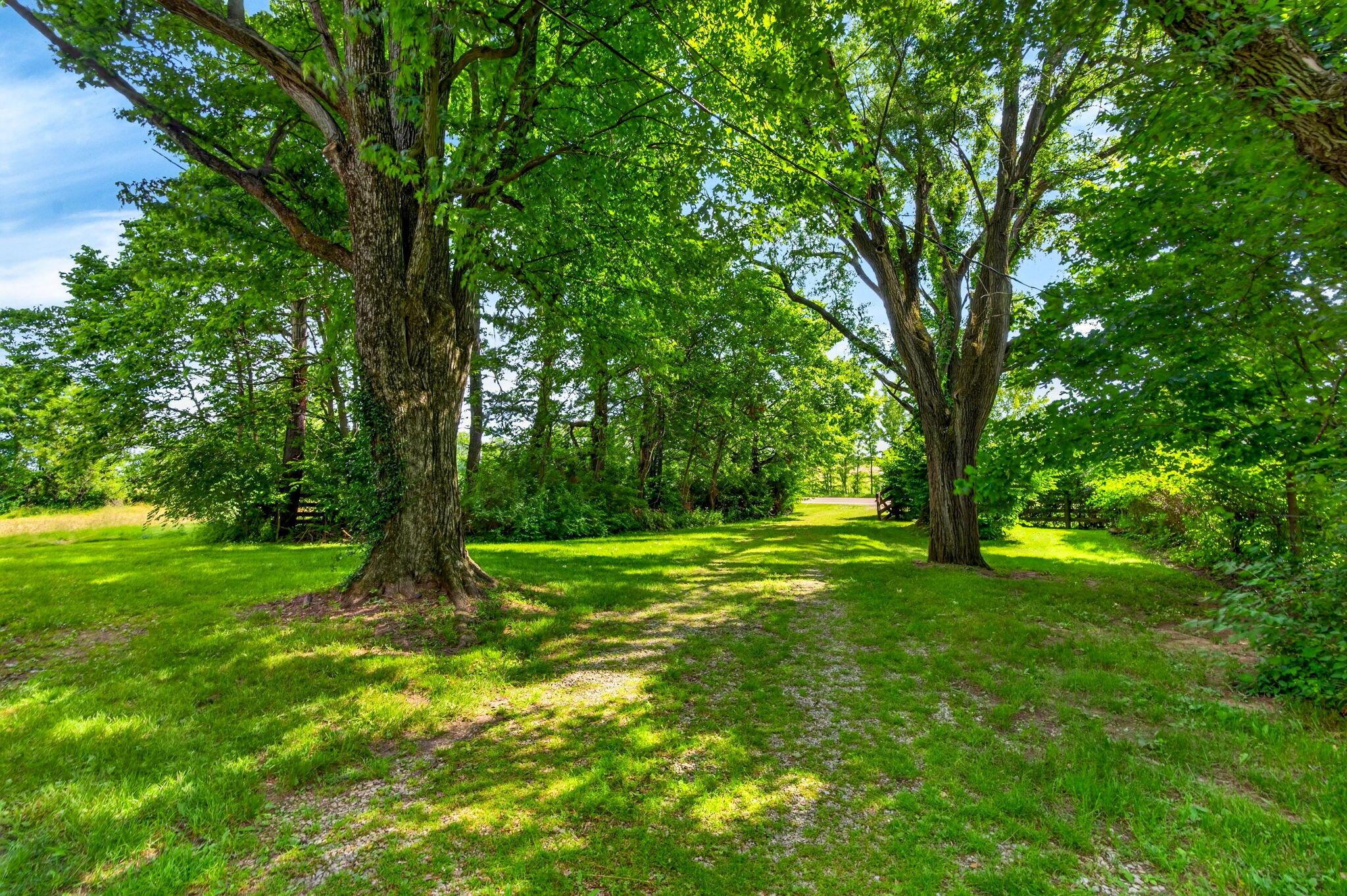 1597 State Route 203 Property Photo 73