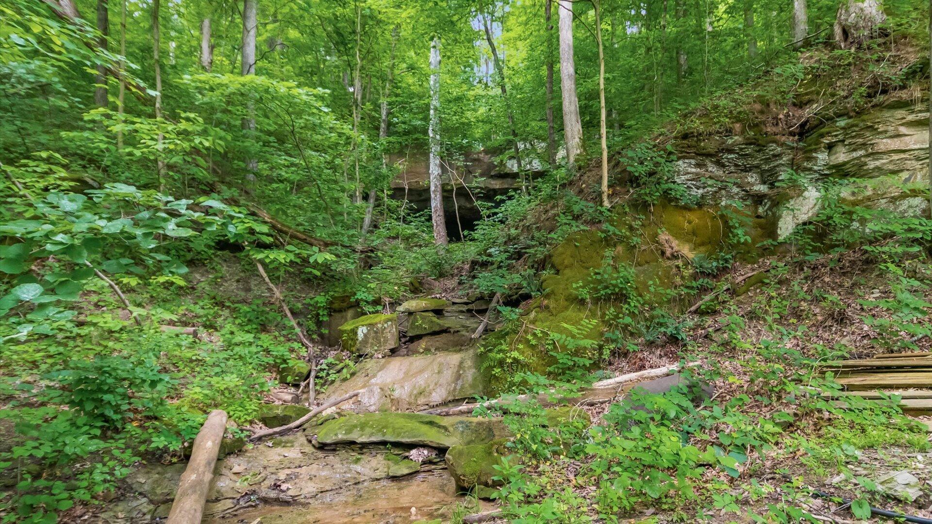 2518 State Route 376 Property Photo 16