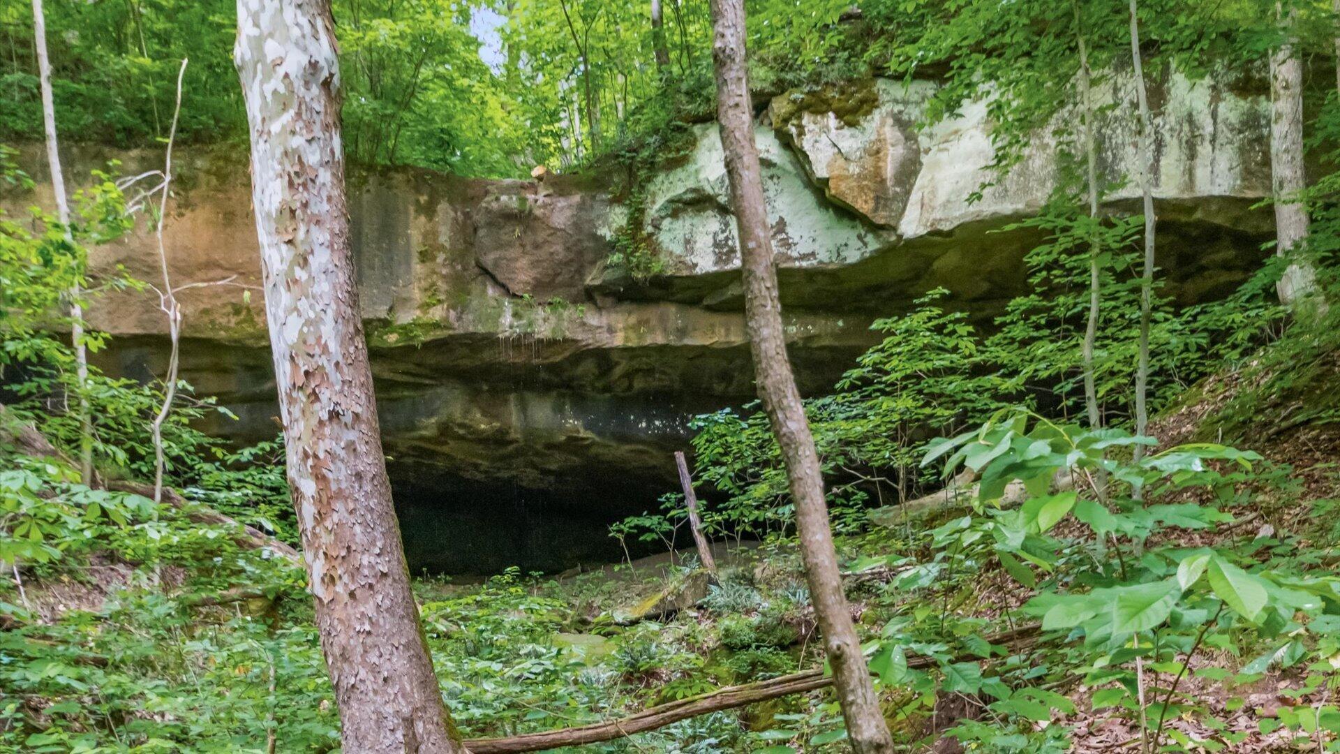 2518 State Route 376 Property Photo 17