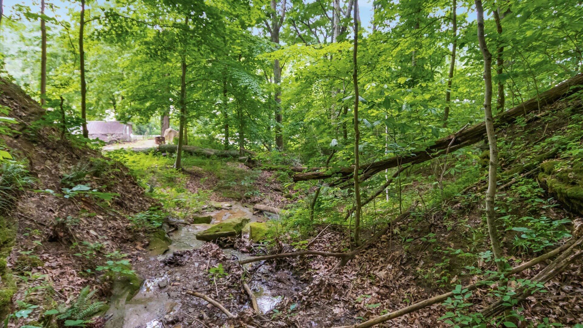 2518 State Route 376 Property Photo 18