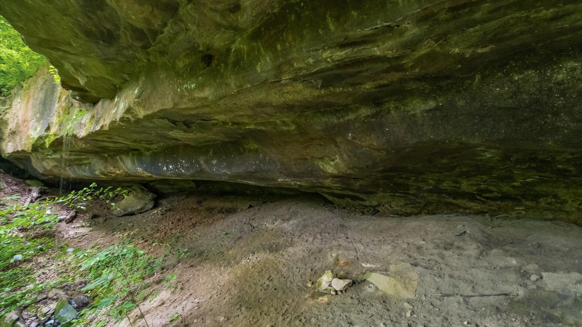 2518 State Route 376 Property Photo 19