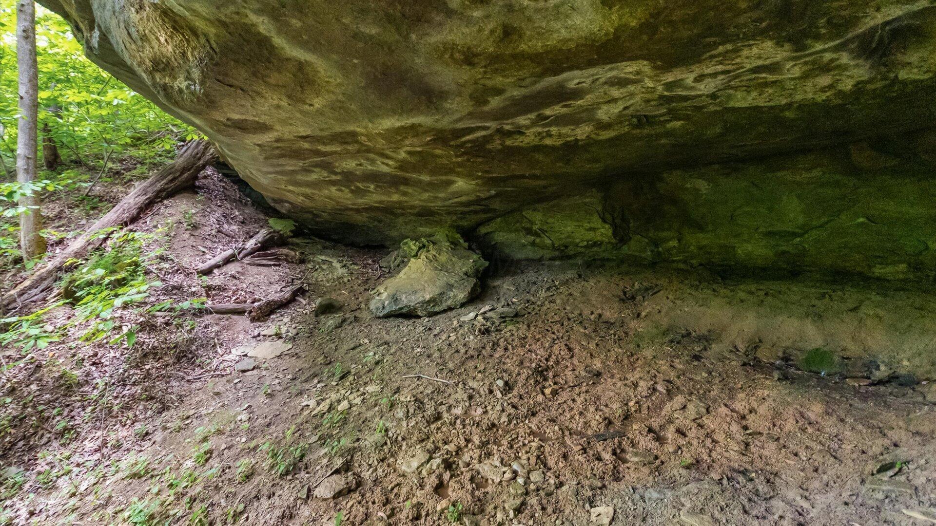 2518 State Route 376 Property Photo 20